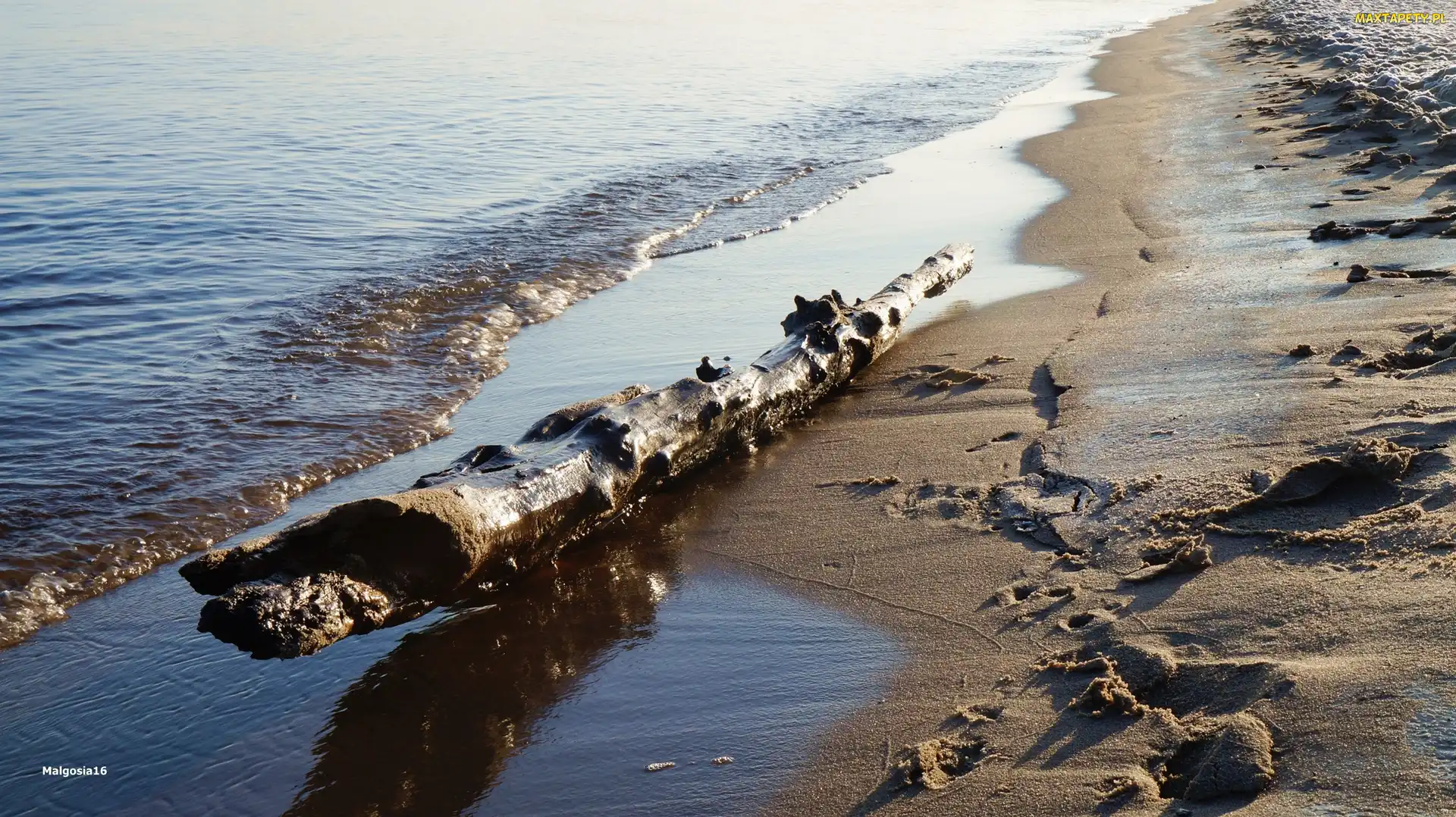 Kłoda, Drewniana, Morze, Plaża
