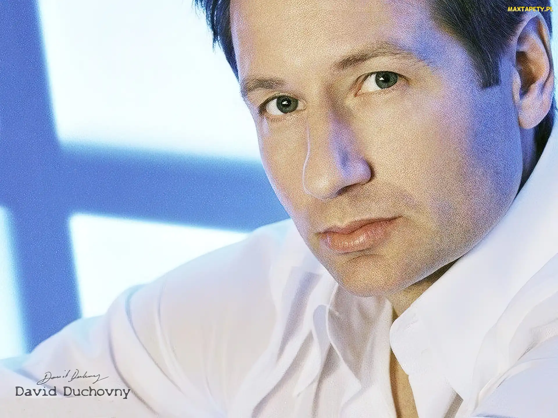 David Duchovny, zielone oczy, biała koszula