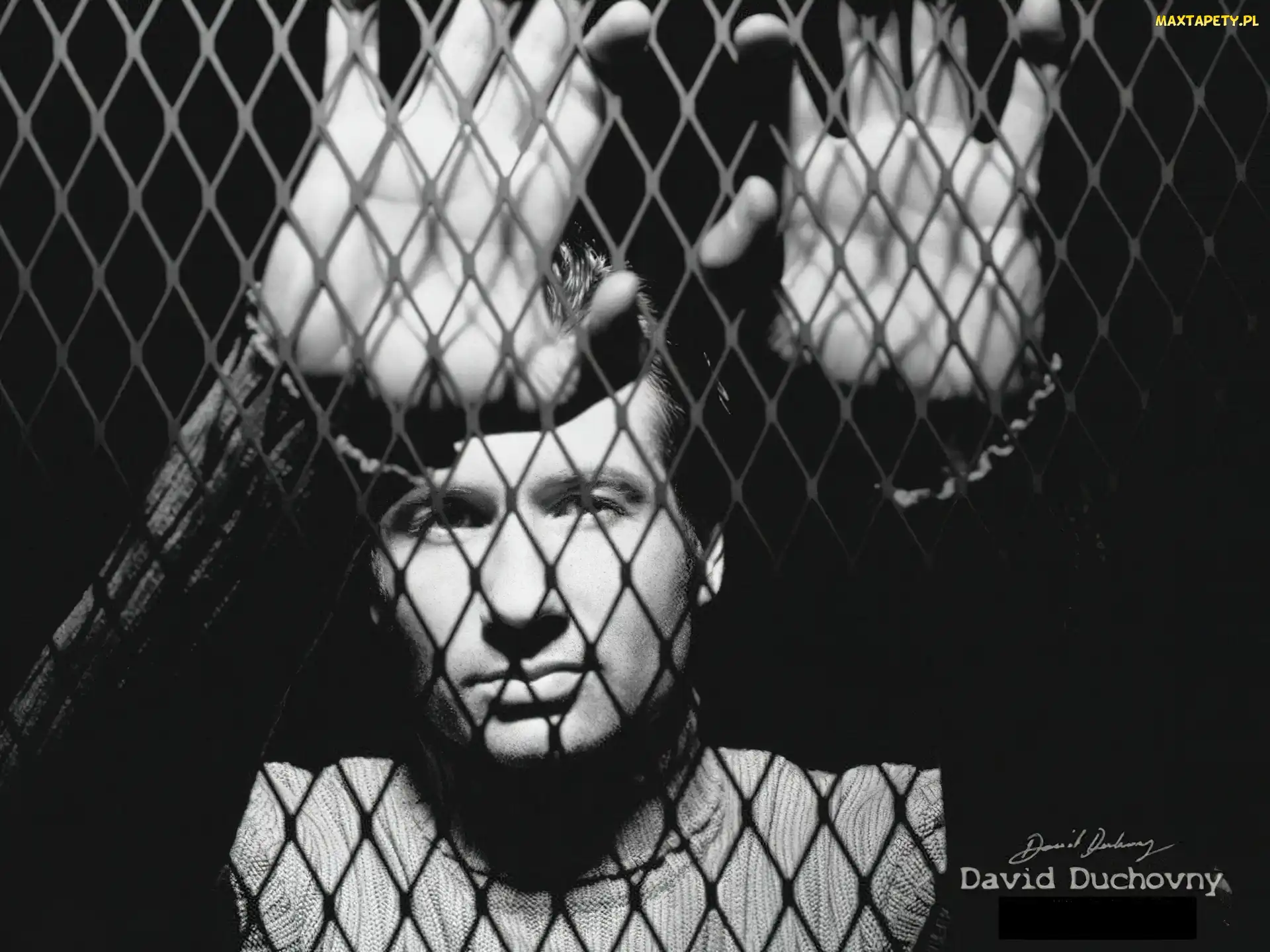 twarz, ręce, David Duchovny