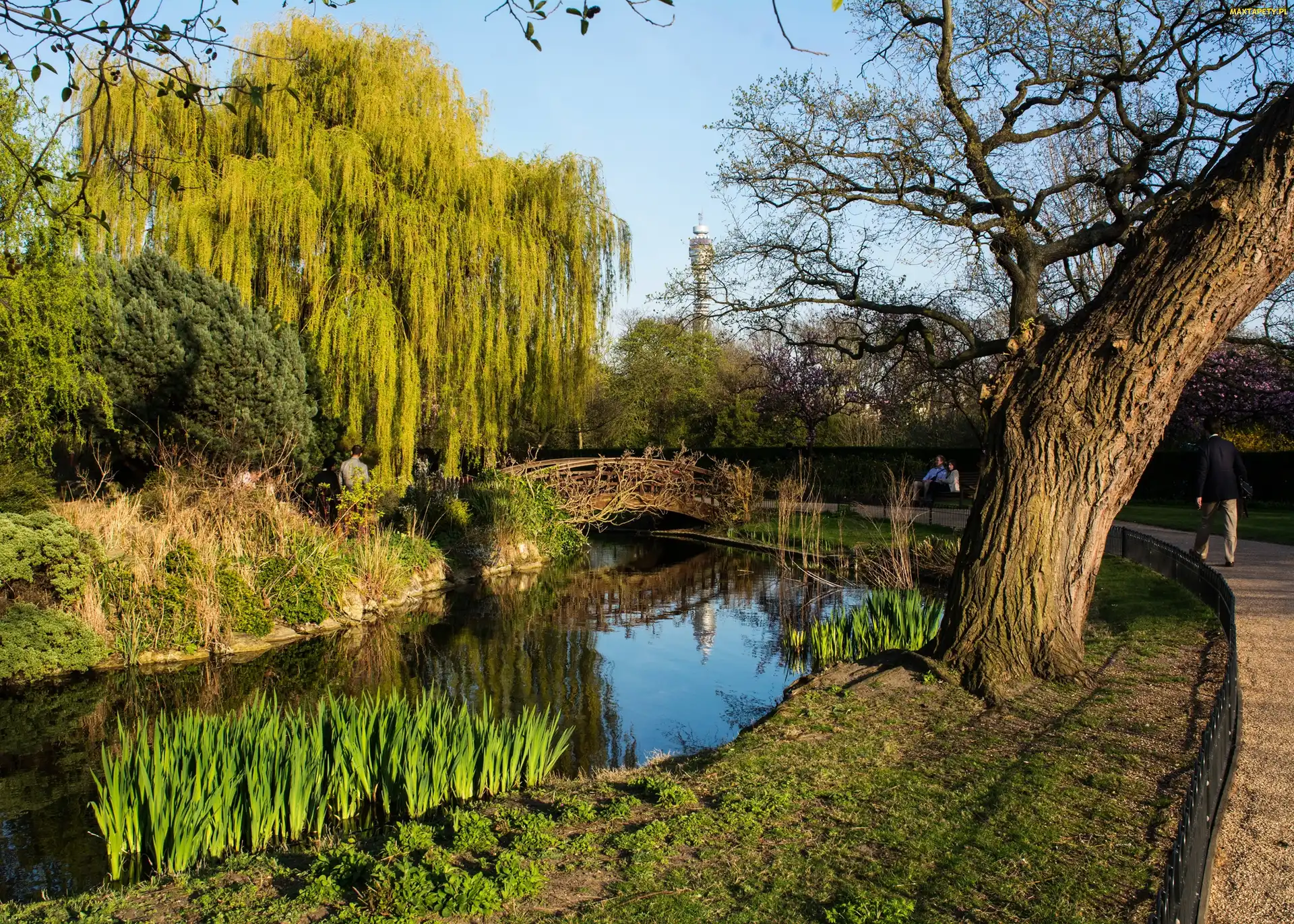 Londyn, Wielka Brytania, Park