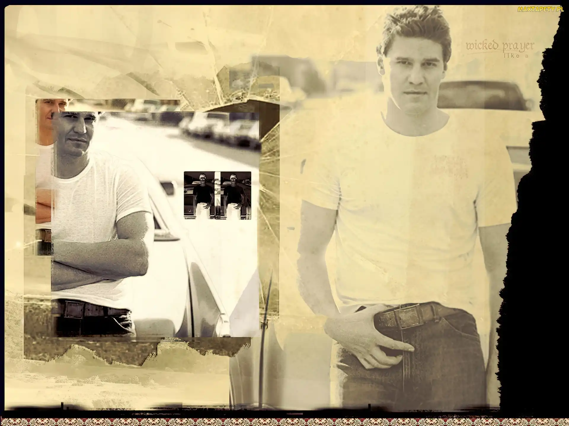 biały t-shirt, pasek, David Boreanaz