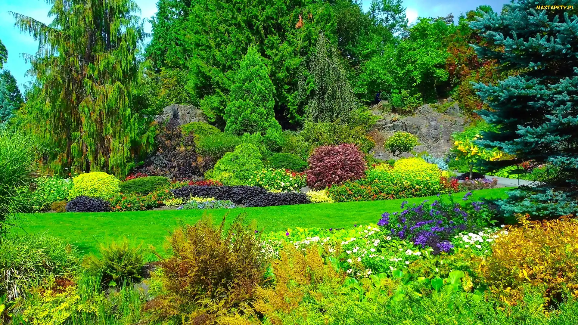 Park, Queen Elizabeth, Kanada, Krzewy, Kwiaty, Vancouver, Drzewa