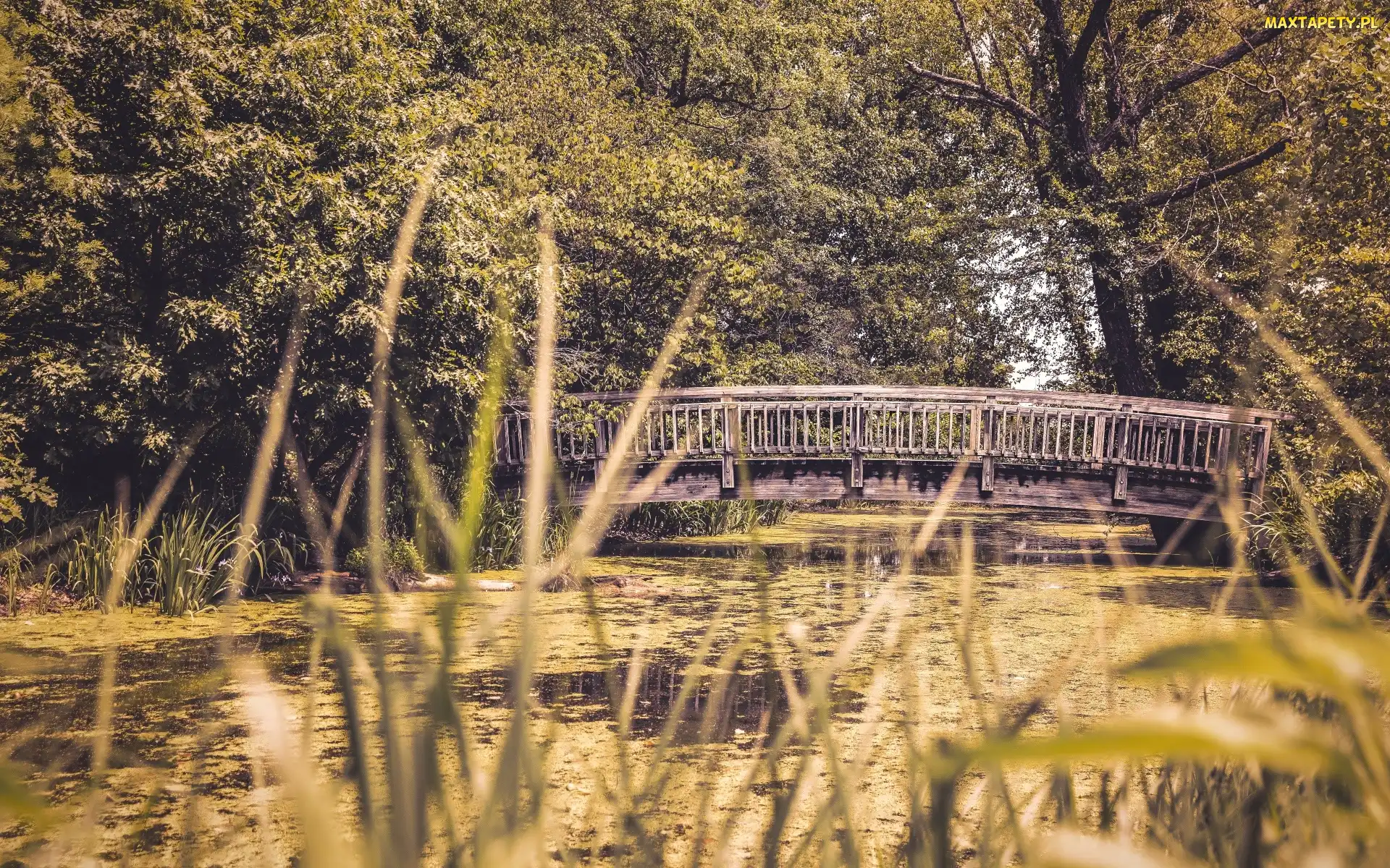 Most, Park, Rzeka