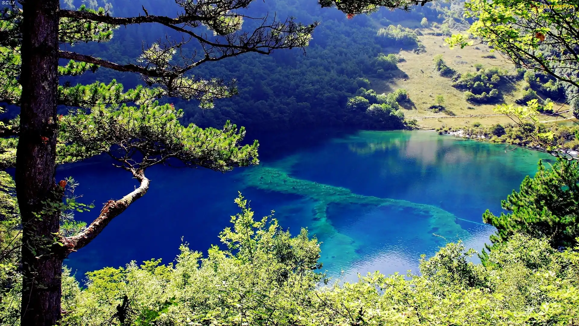 Las, Szwajcaria, Jezioro