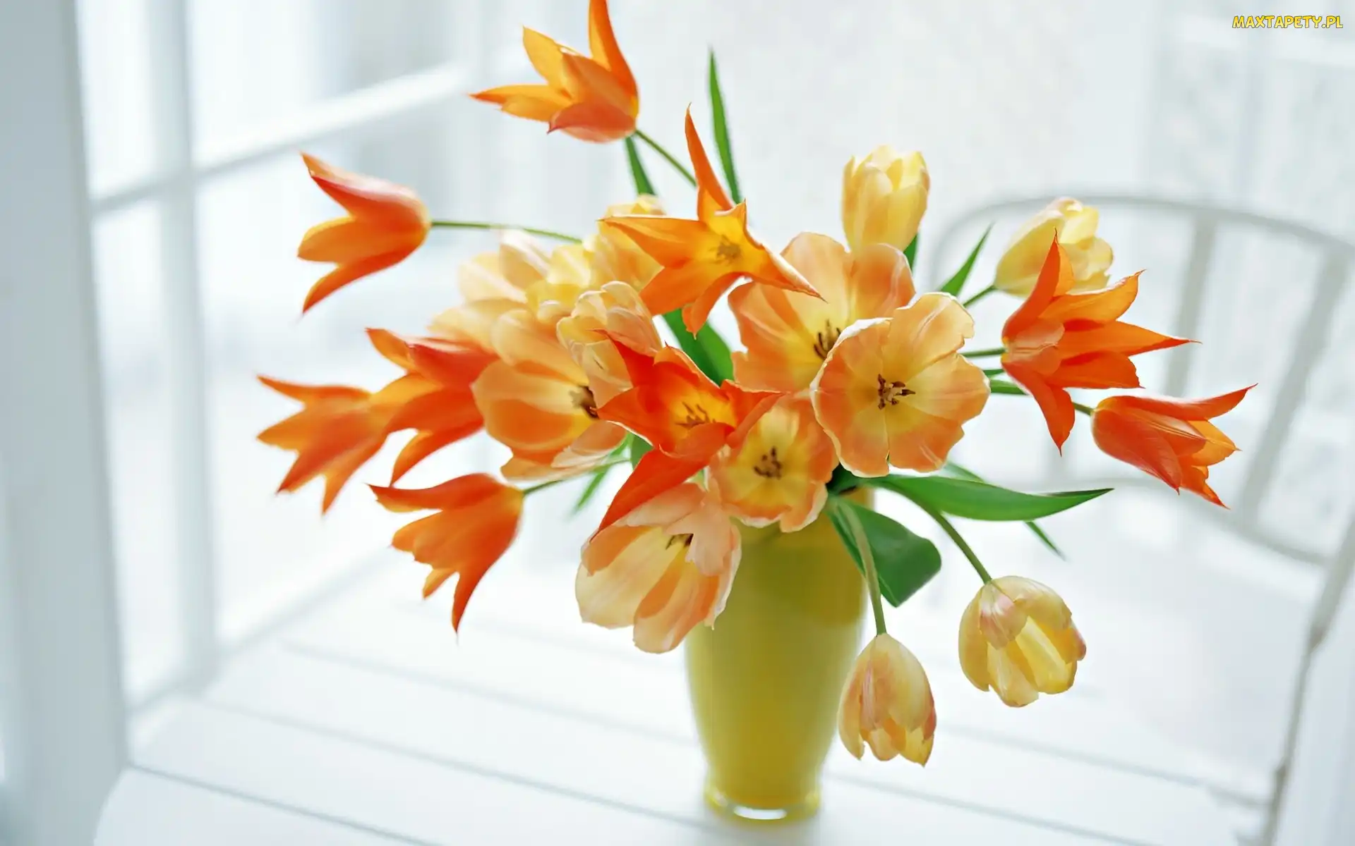 Tulipany, Wazon, Pomarańczowe