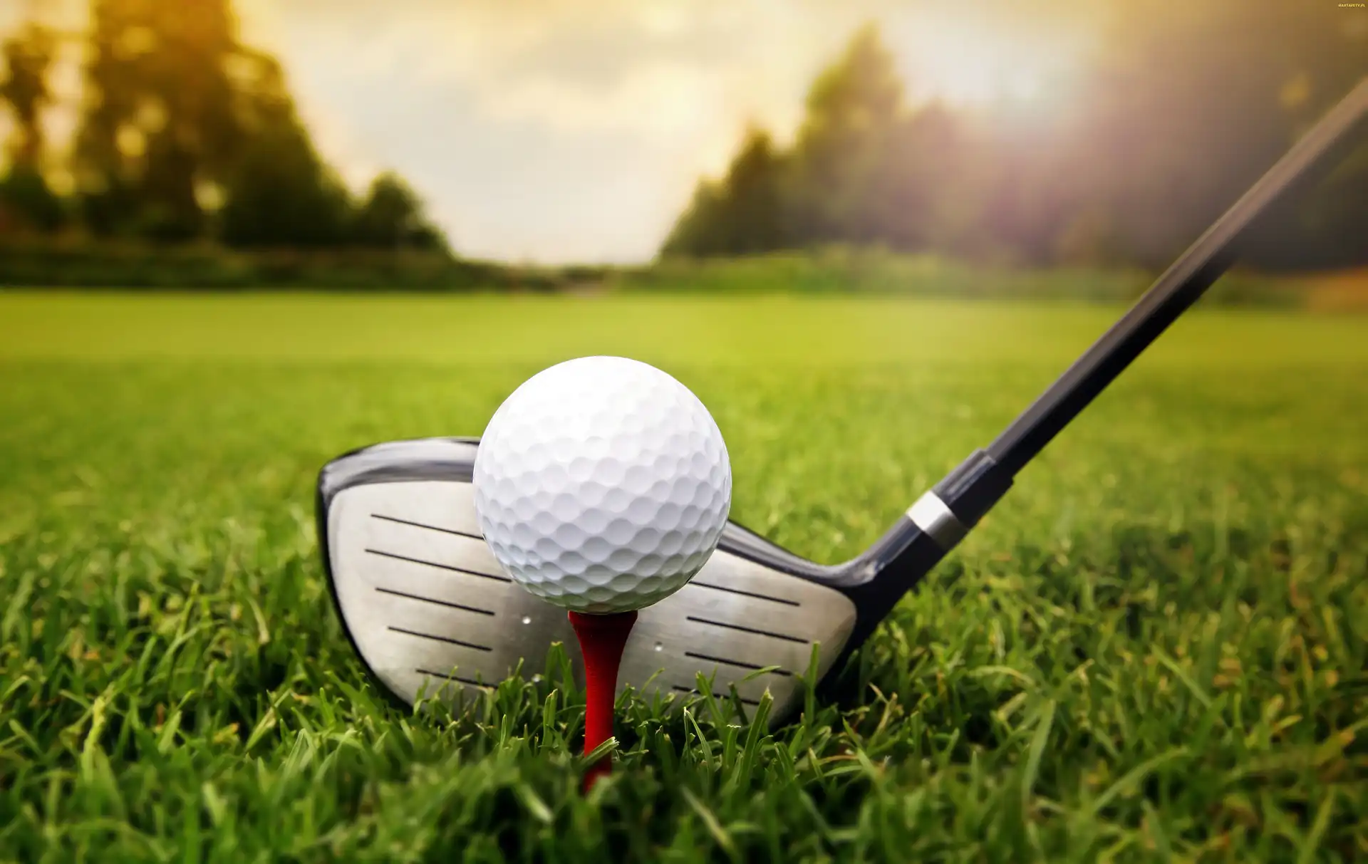 Kij golfowy, Trawa, Piłka golfowa