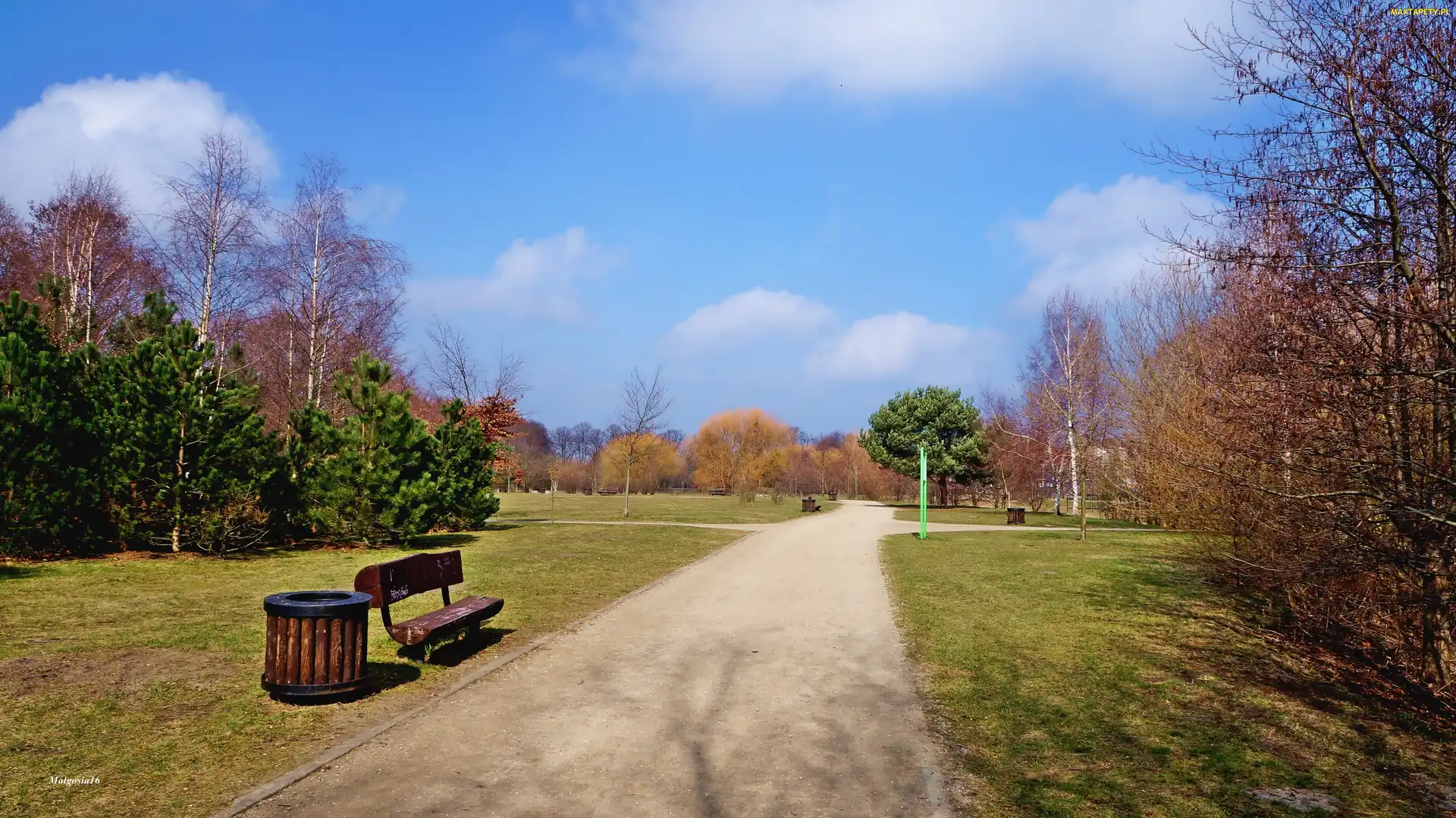 Drzewa, Ławka, Park, Ścieżka