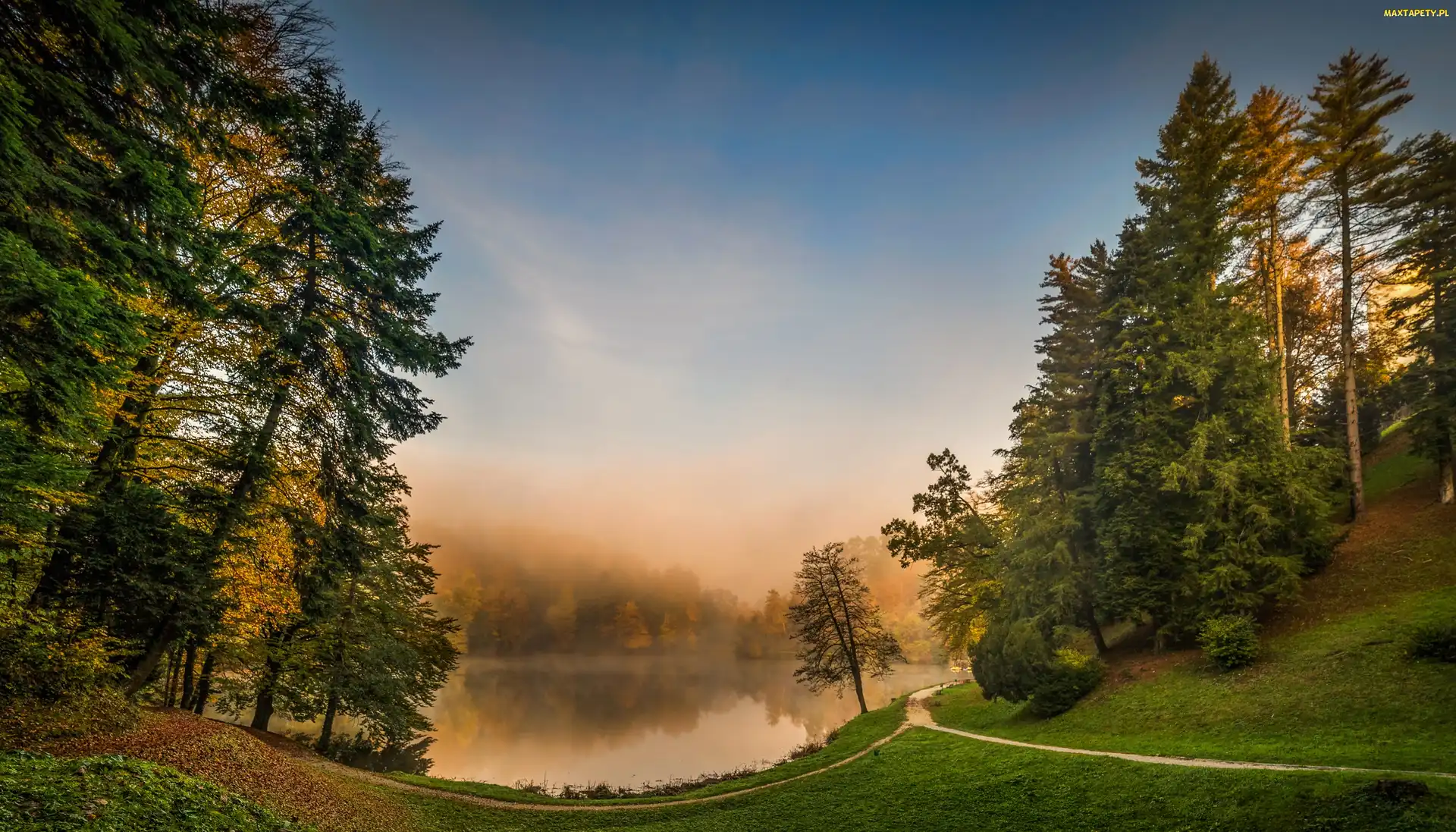 Las, Chorwacja, Świt, Mgła, Jezioro