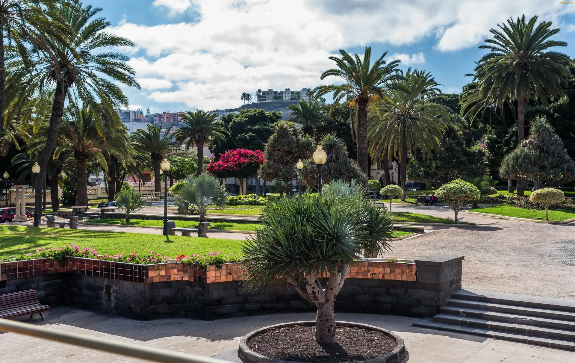 Hiszpania, Las Palmas, Park