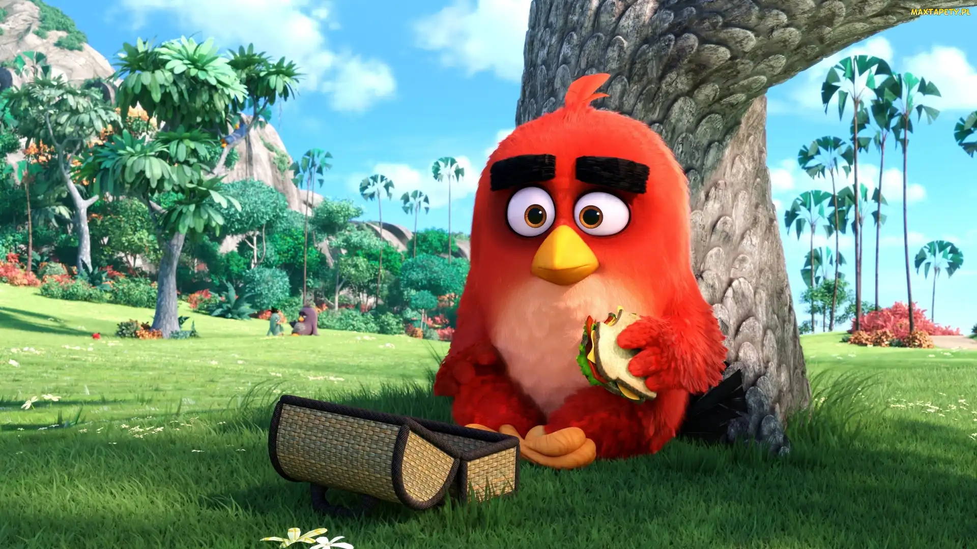 Film, Angry Birds, Komputerowe