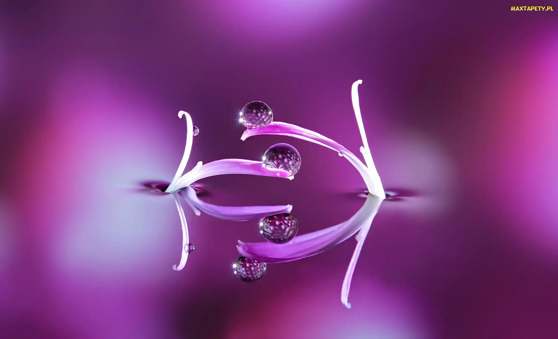 Krople, Makro