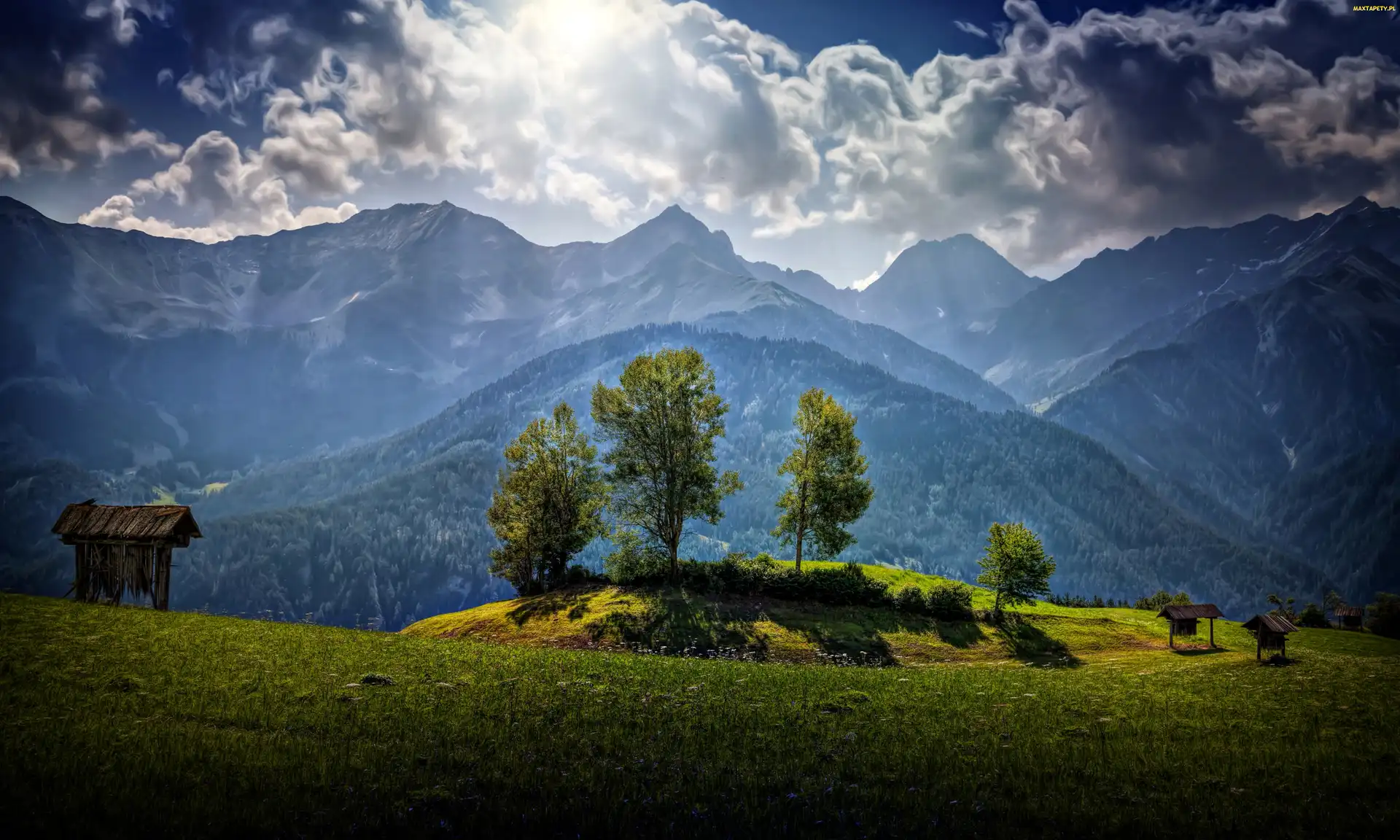 Las, Przebijające, Góry, Łąka, Austria, Chmury, HDR, Światło