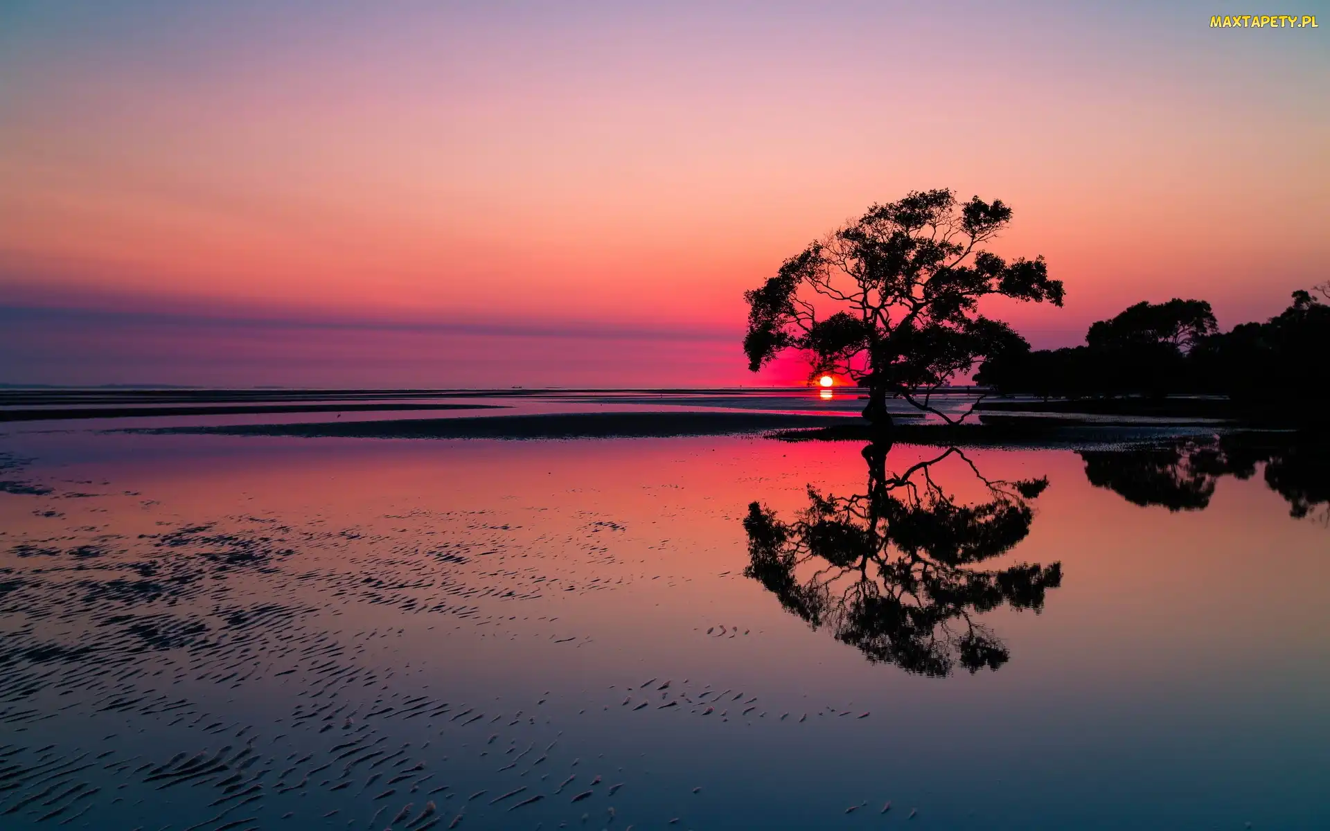 Drzewa, Słońca, Plaża, Zachód