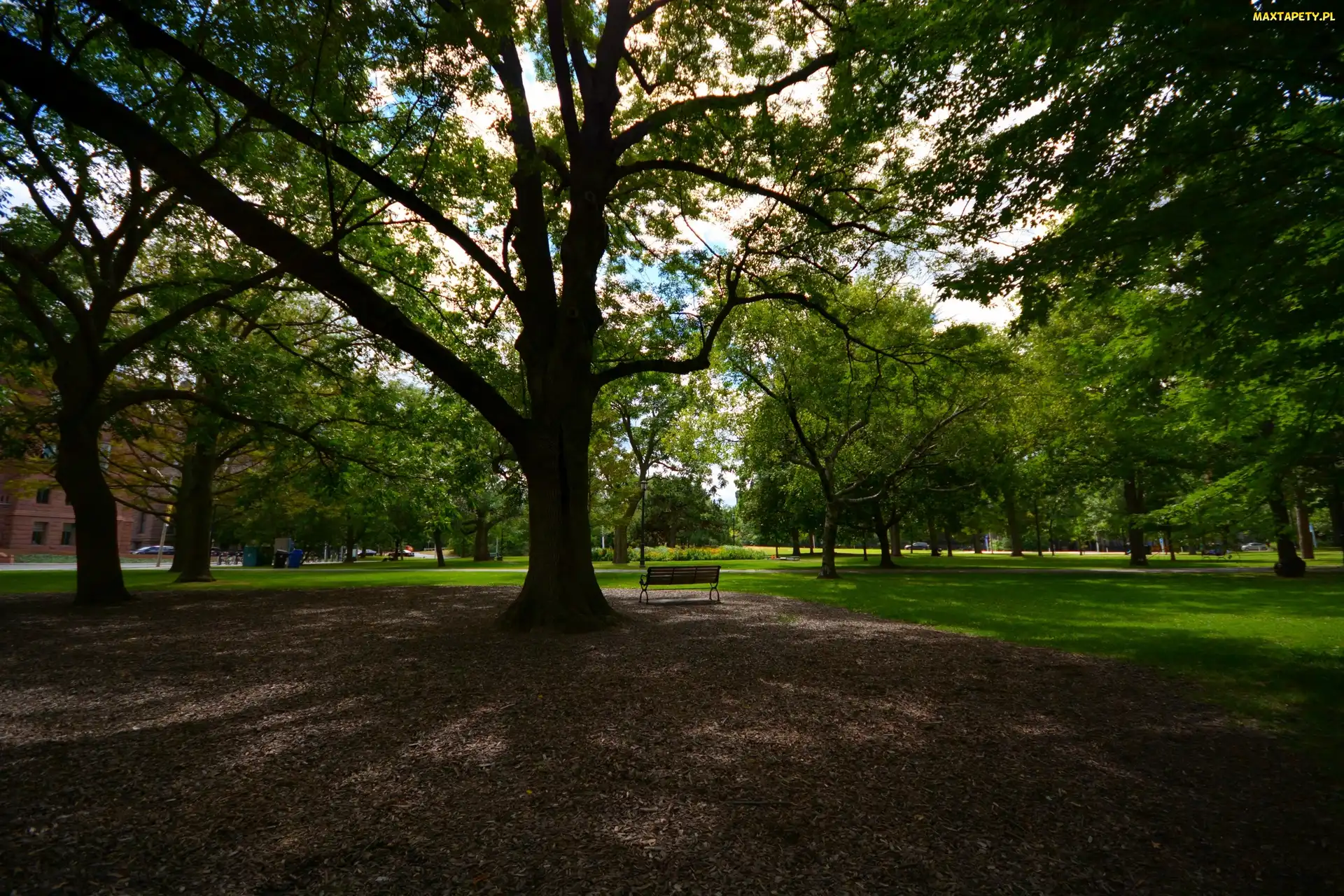Queens park, Toronto