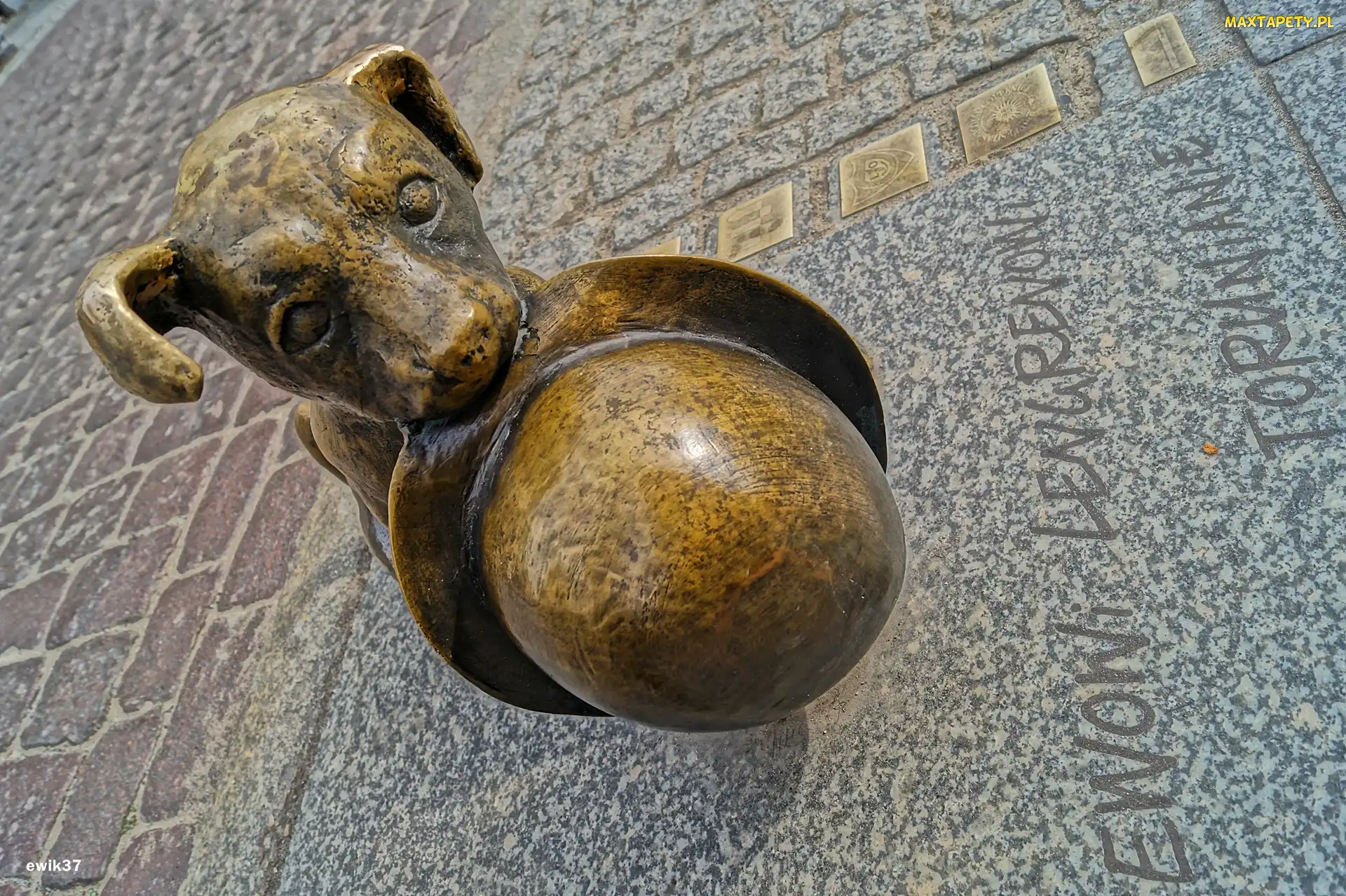 Piesek, Pomnik, Toruń
