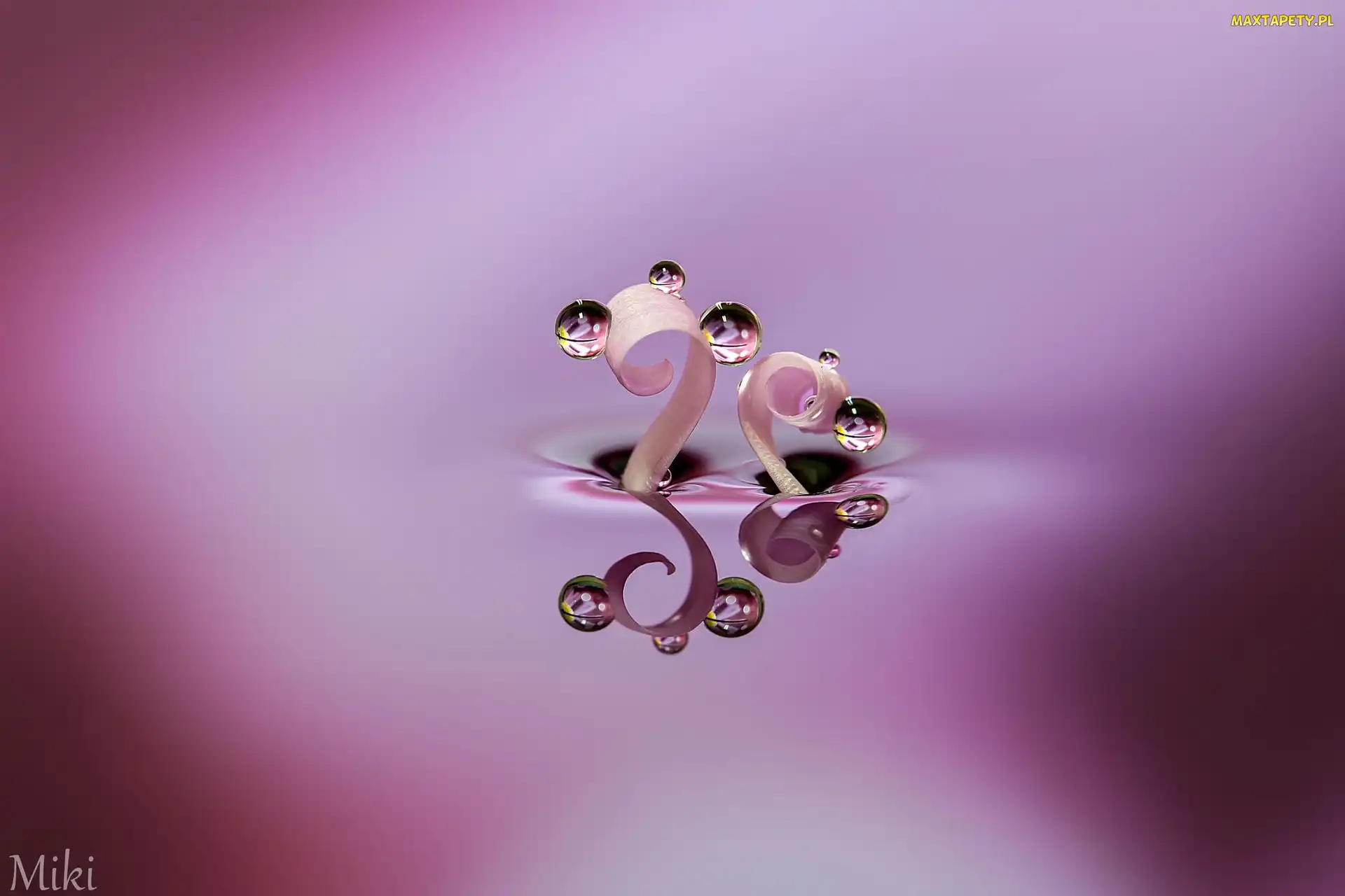 Krople, Makro, Odbicie, Woda, Miki Asai