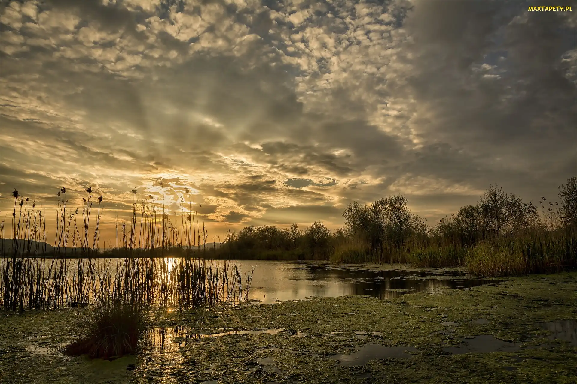 Trzciny, Chmury, Jezioro