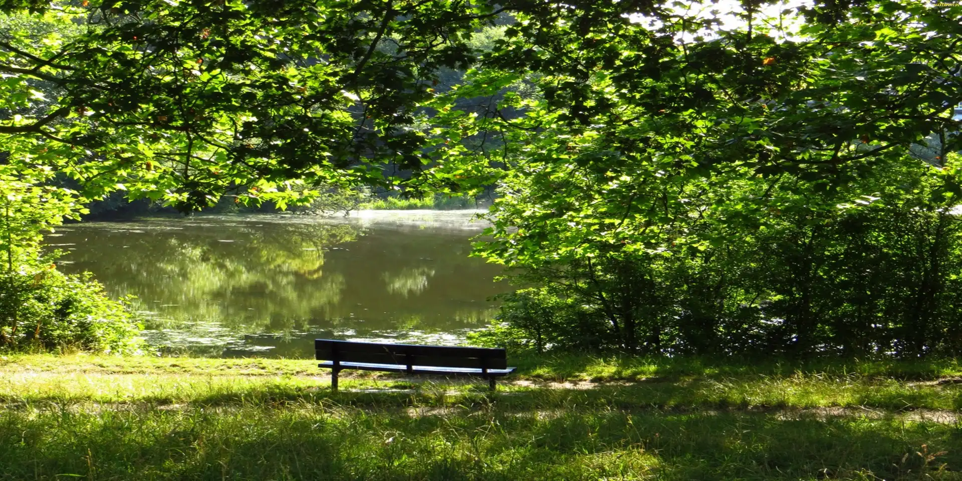Park, Staw, Ławka