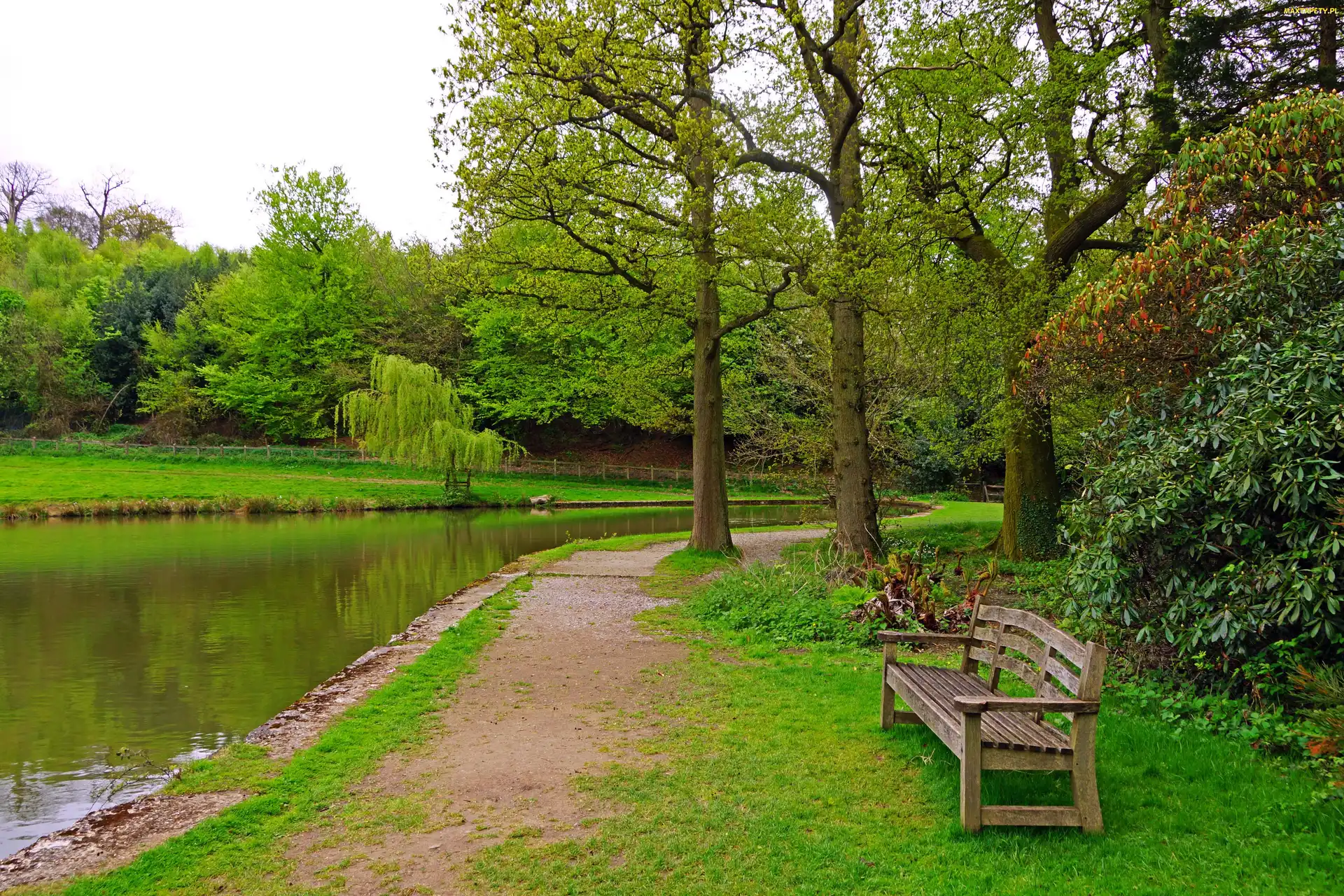 Ścieżka, Ławka, Park