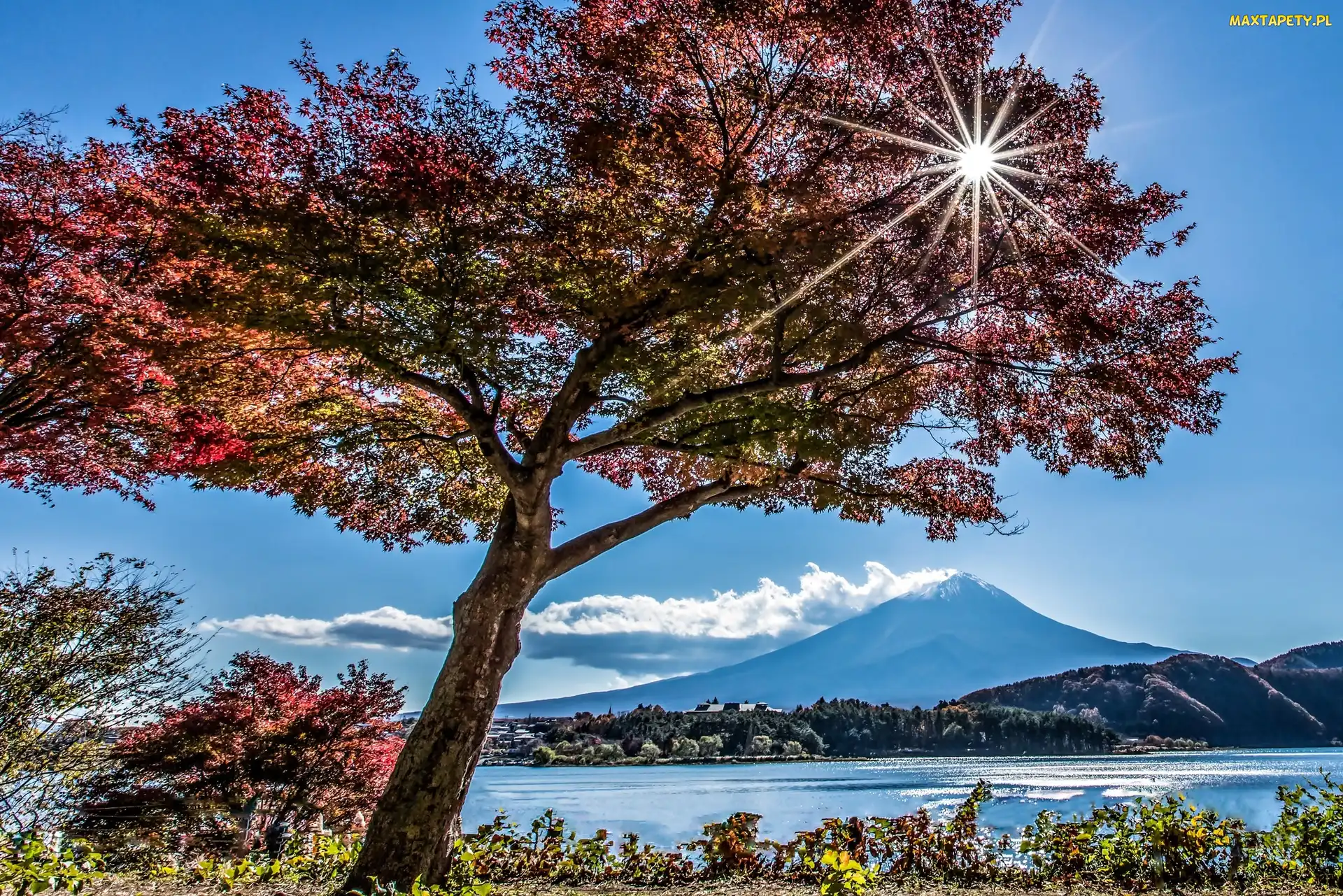 Promienie, Jezioro, Jesień, Japonia, Góra, Słońca, Fuji, Drzewa