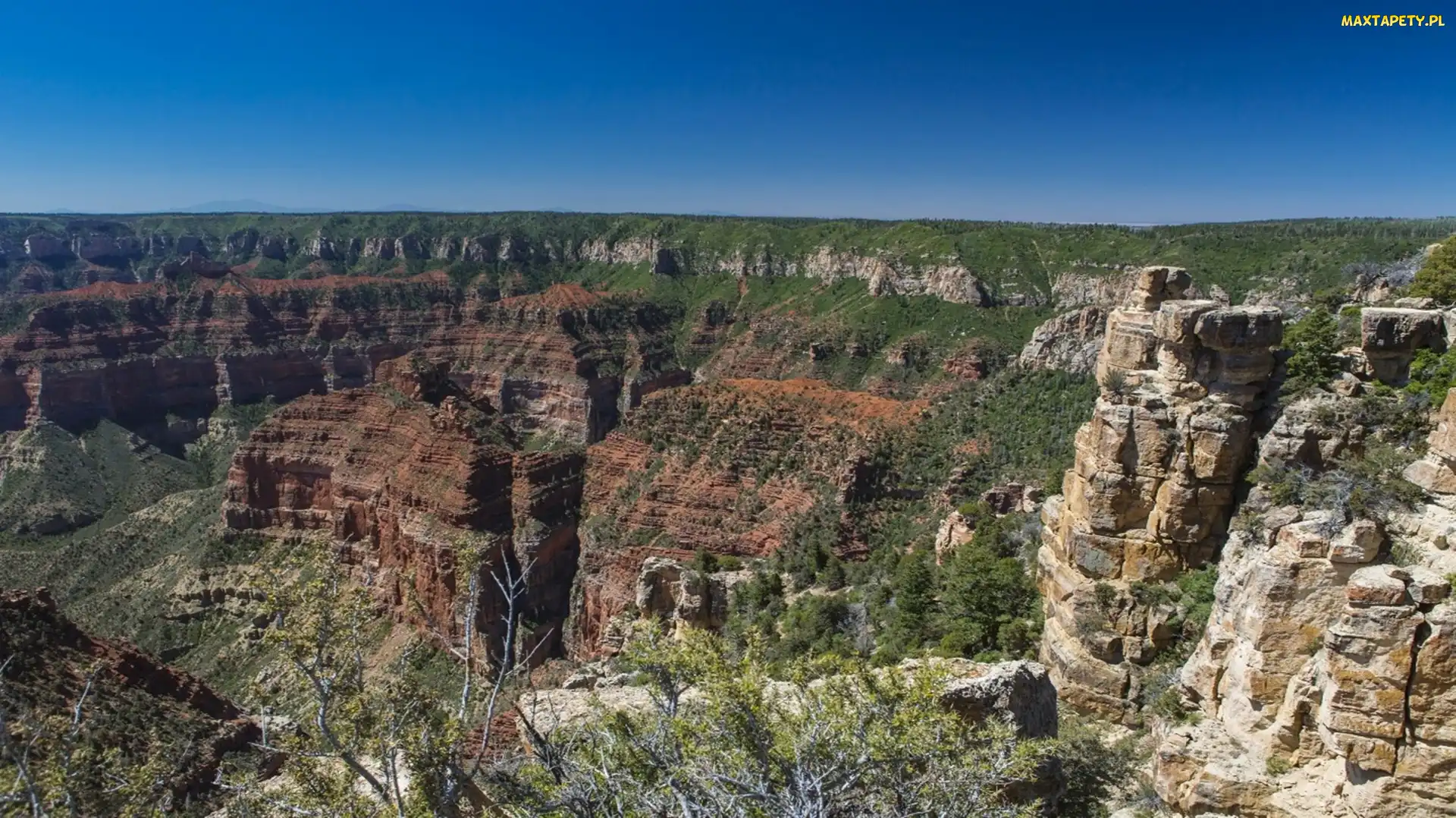 Park, USA, Kanion, Arizona