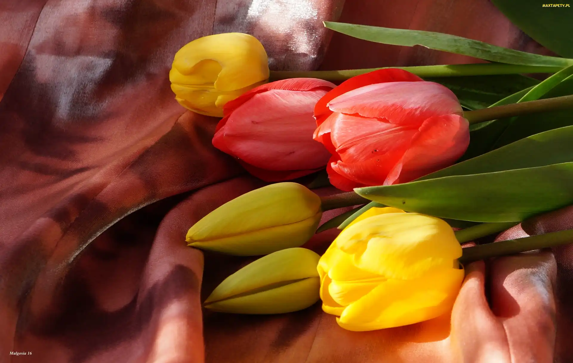Tulipany, Czerwone, Żółte, Kolorowe, Bukiet