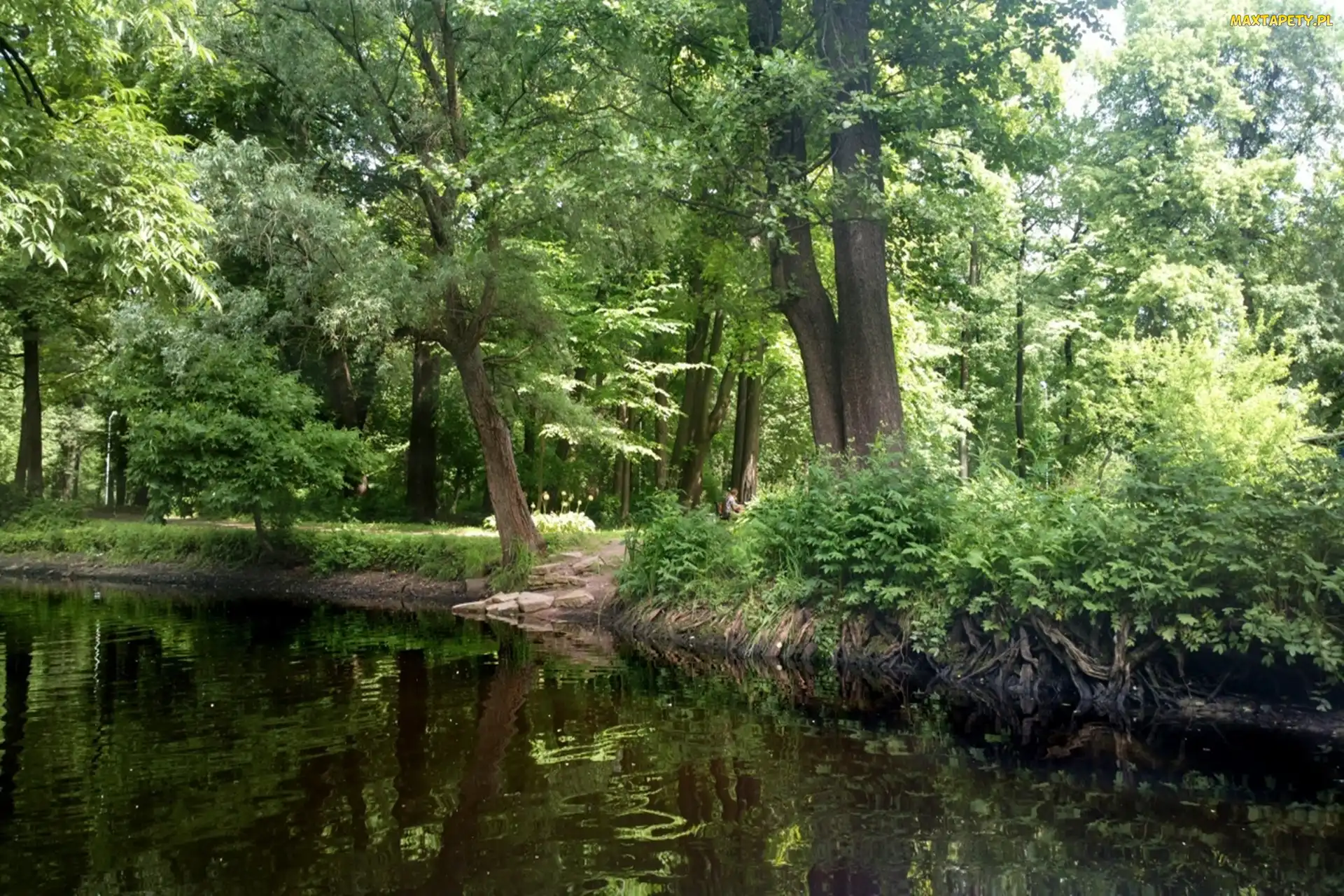 Sankt Petersburg, Jezioro