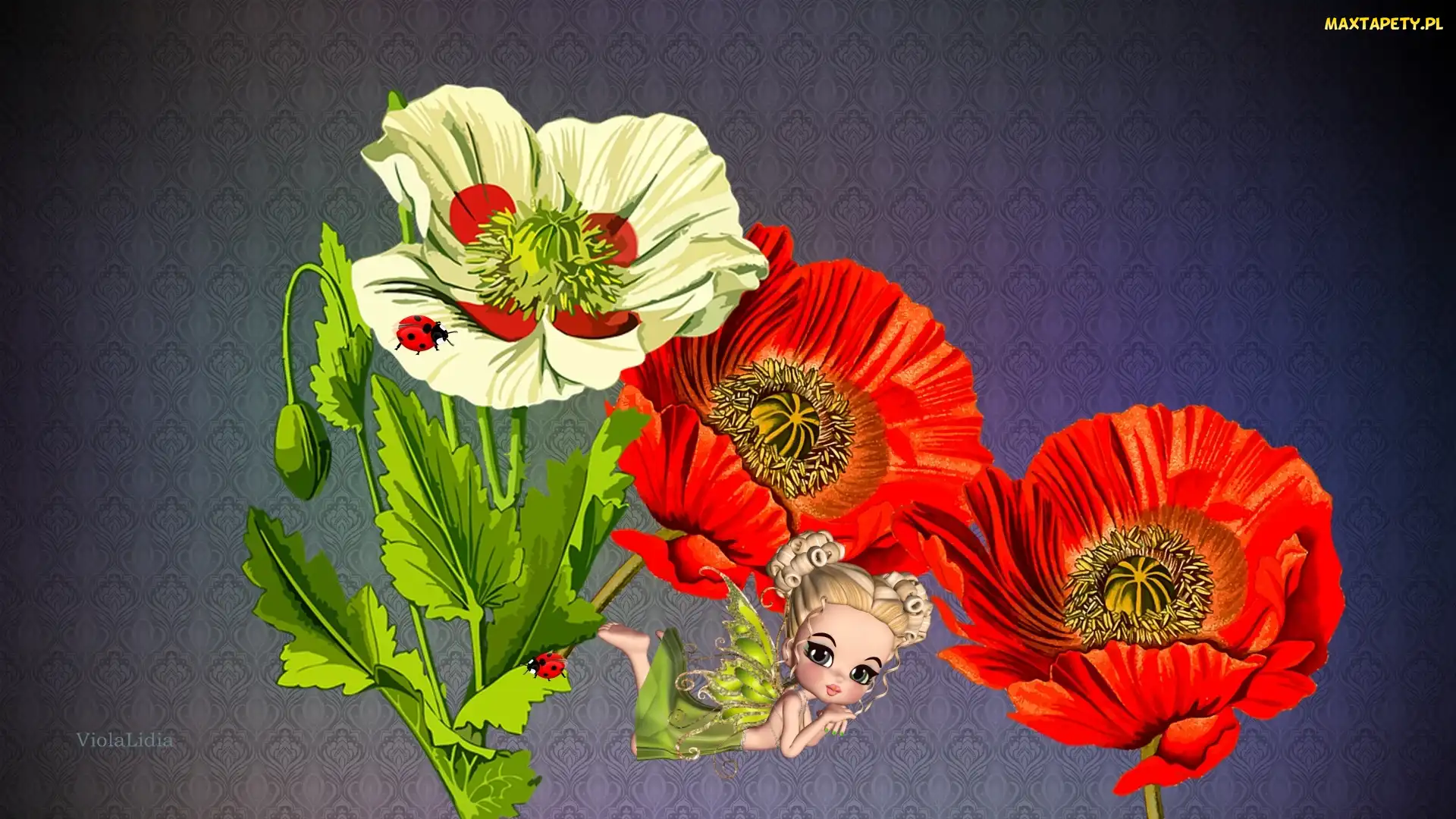 Maki, Laleczka, Grafika