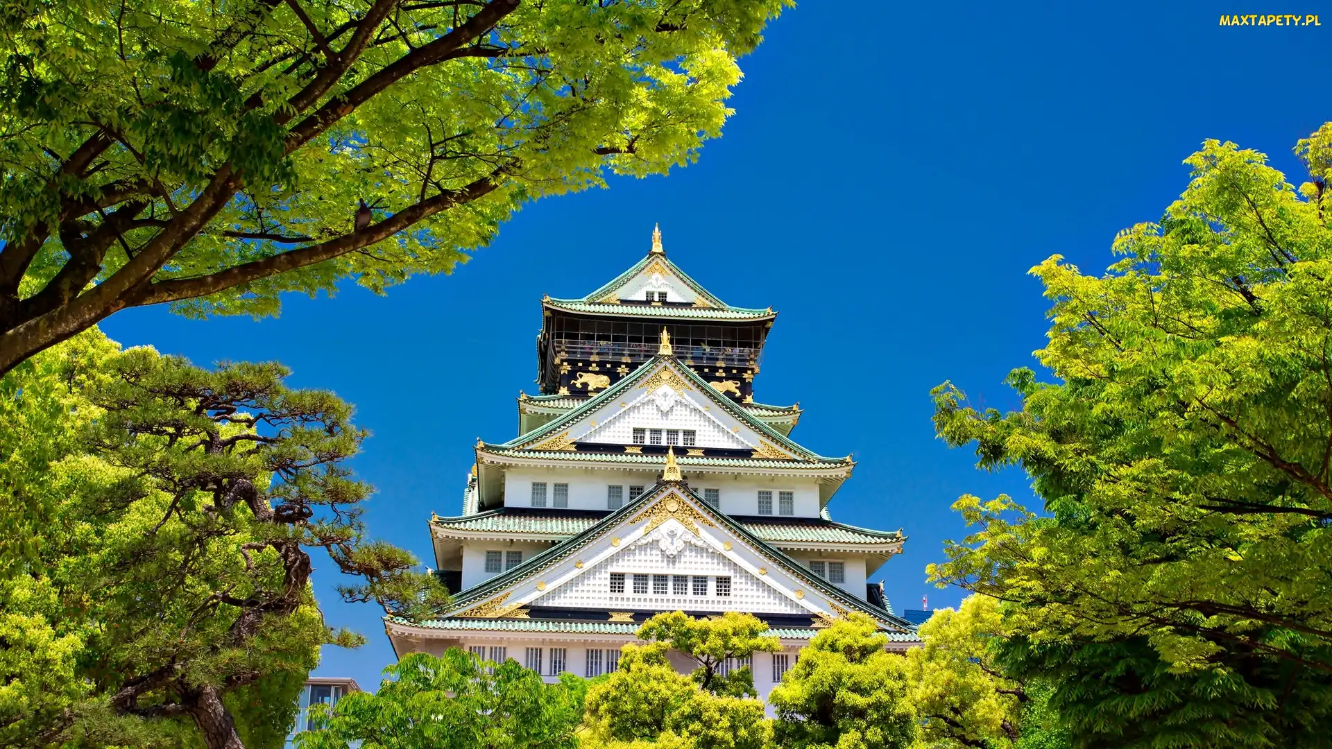 Japonia, Pałacyk