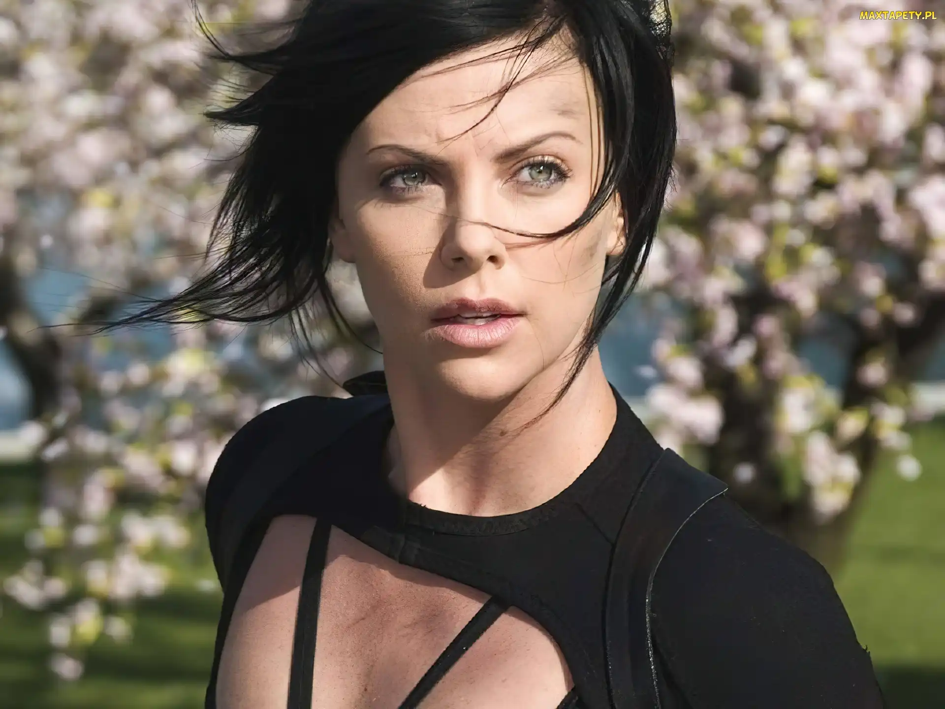 czarne, włosy, Charlize Theron