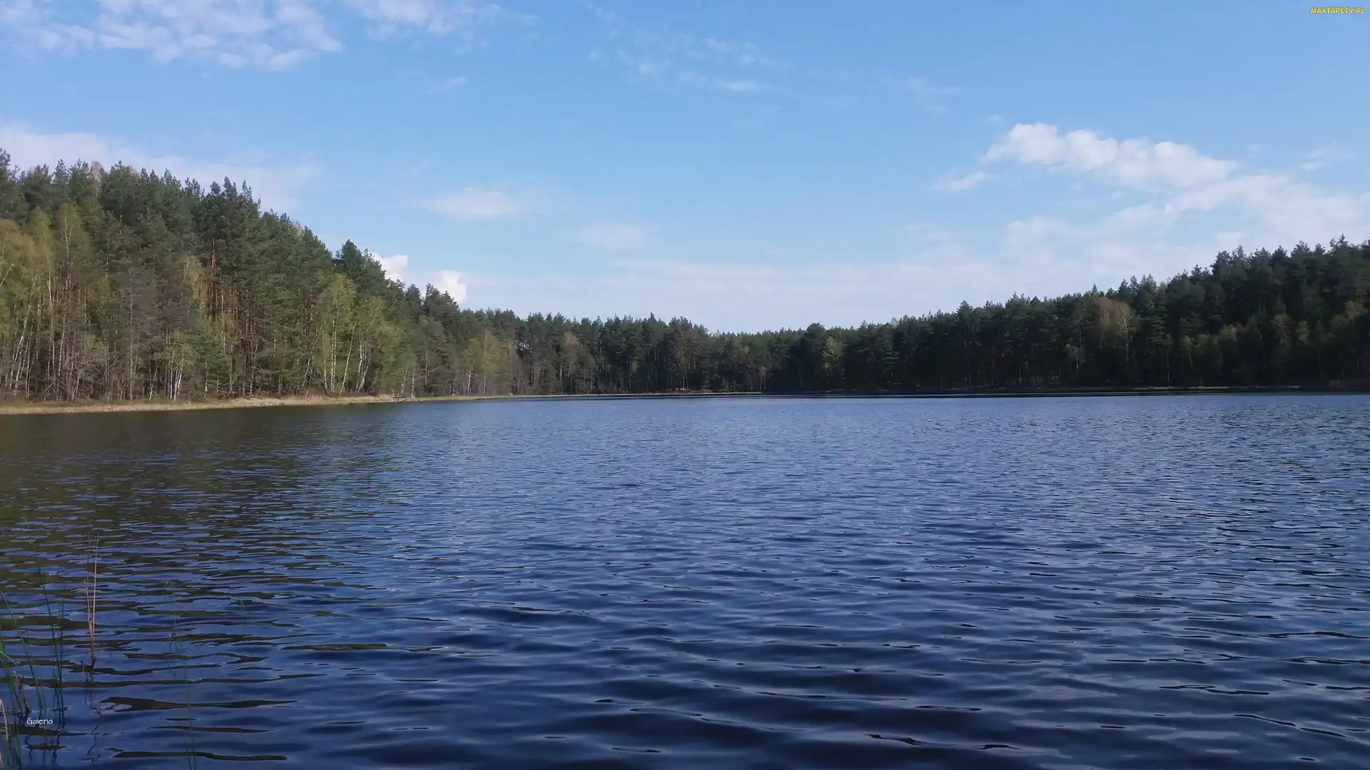 Las, Woda, Jezioro, Mazury