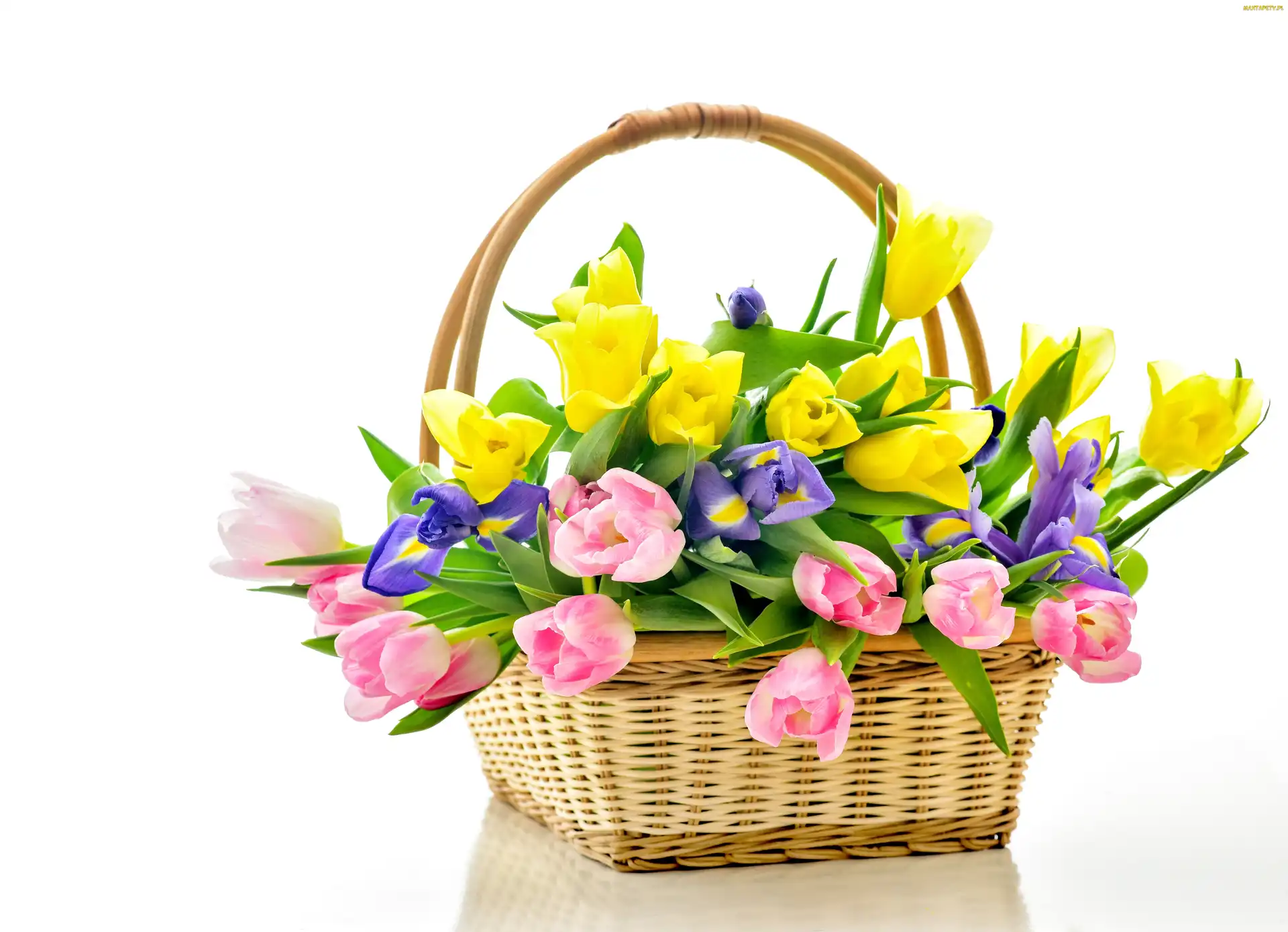 Tulipany, Bukiet Kwiatów, Kosz, Irysy
