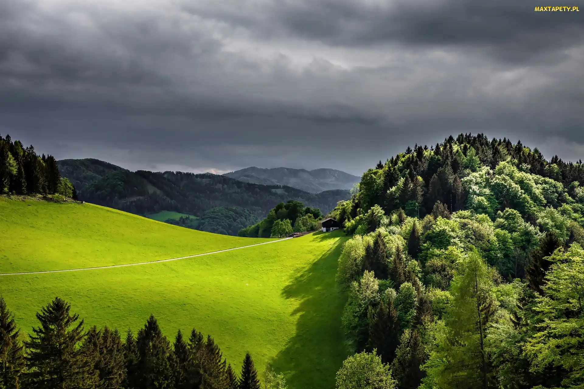 Las, Łąka, Góry