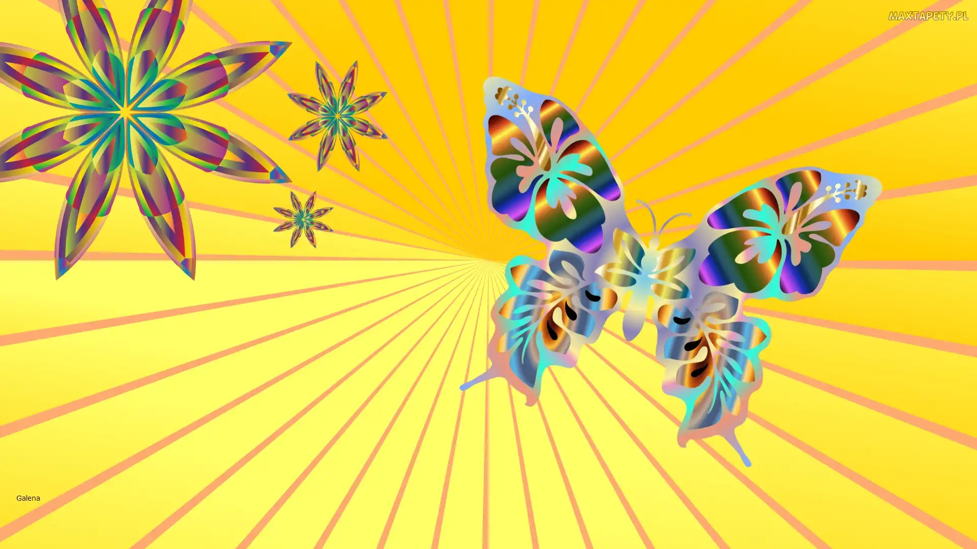 Kwiaty, Grafika, Motyl