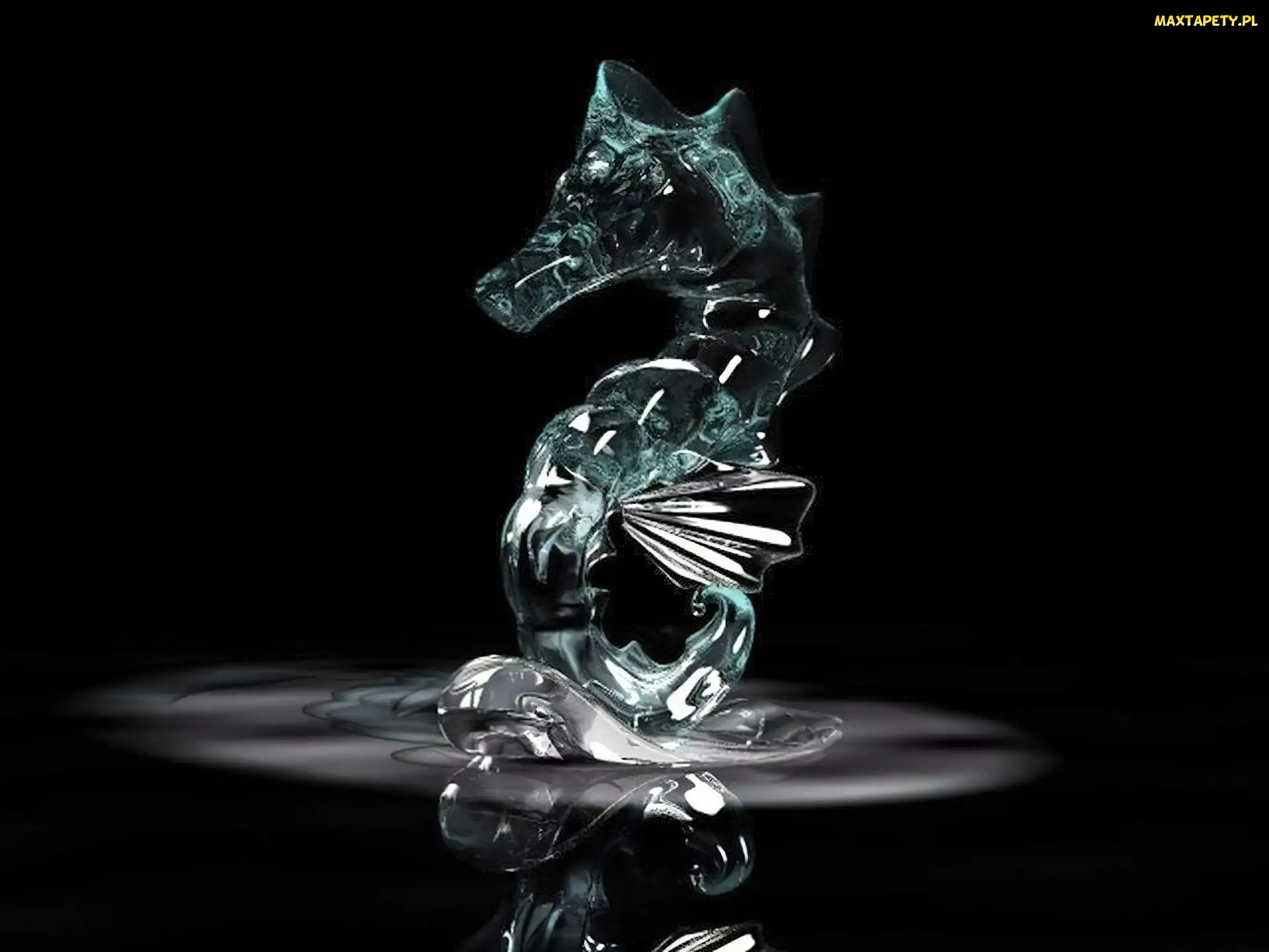 morski, konik, 3D, Wektorowa