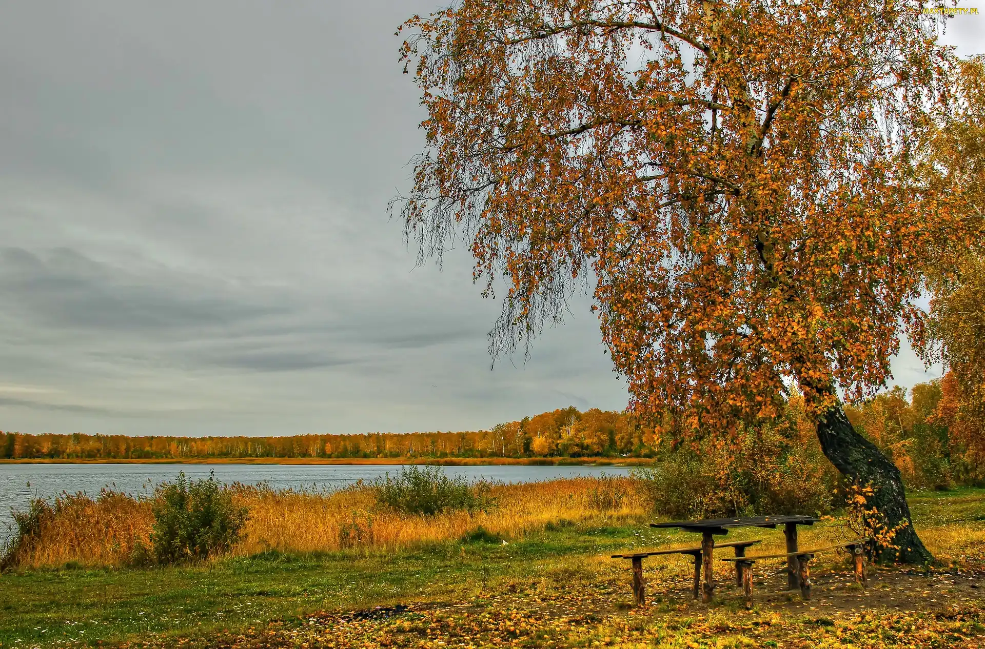 Ławeczki, Jezioro, Jesień, Las