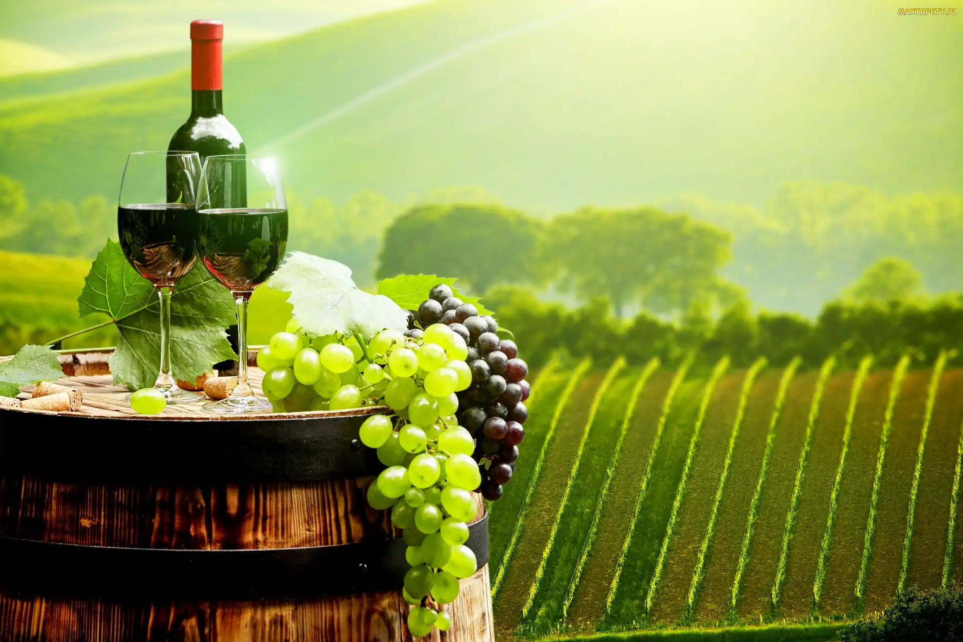 Wino, Tło, Winnica, Rozmyte, Winogrona