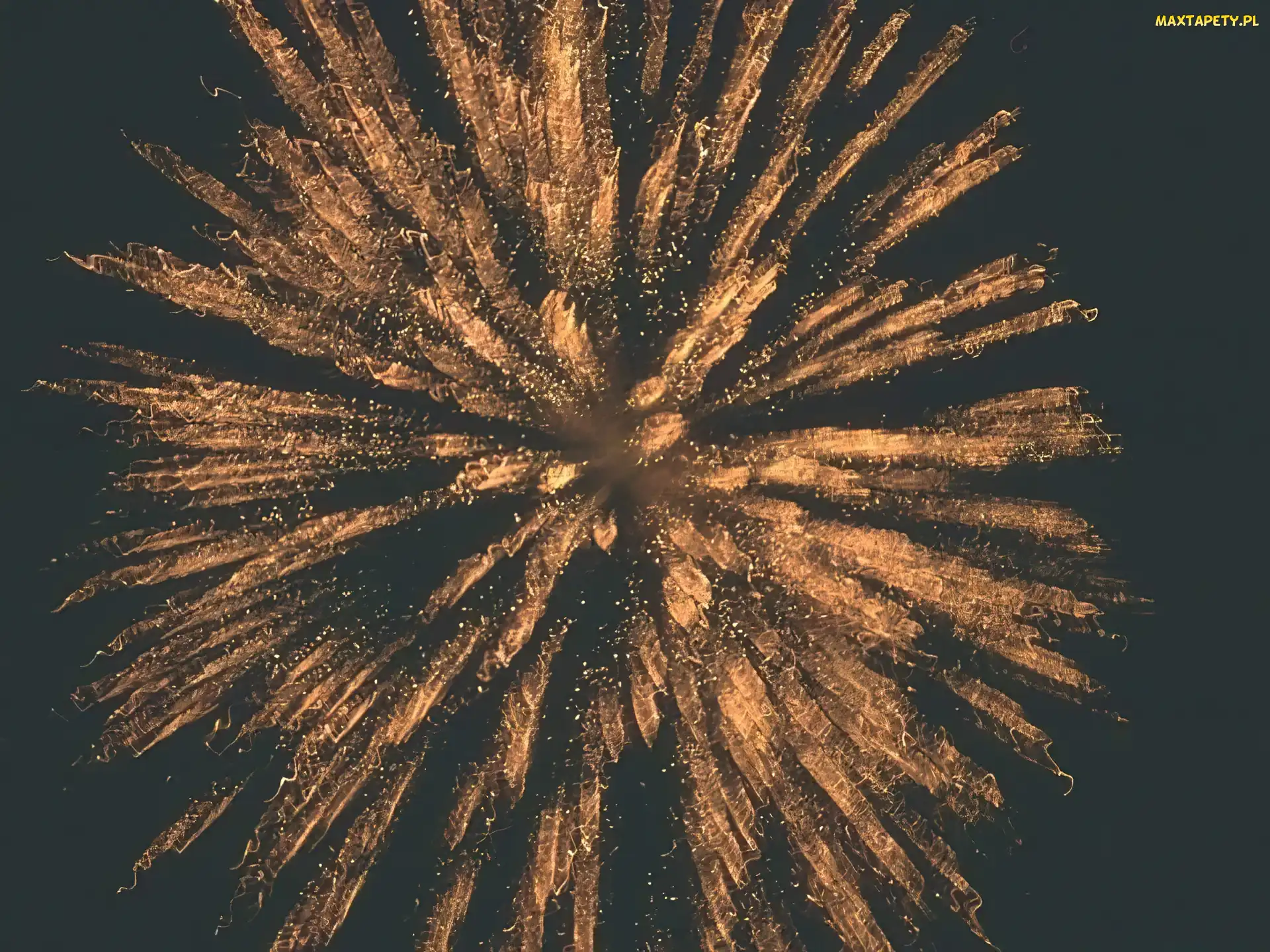 fajerwerki, niebo, 3D, Wektorowa