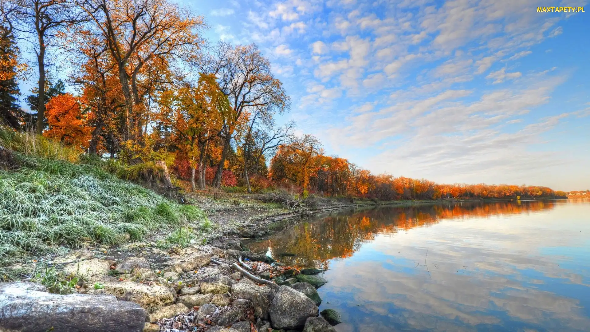 Kamienie, Drzewa, Jezioro