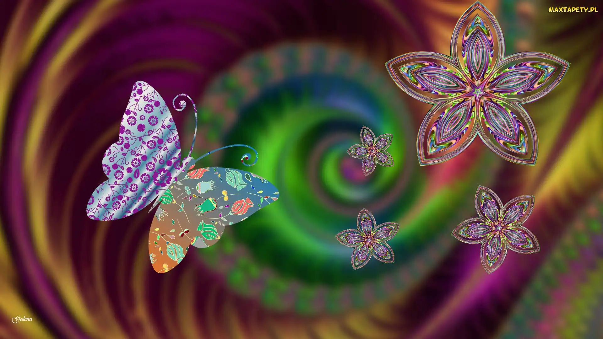 Motyl, Grafika, Abstrakcja, Kwiaty