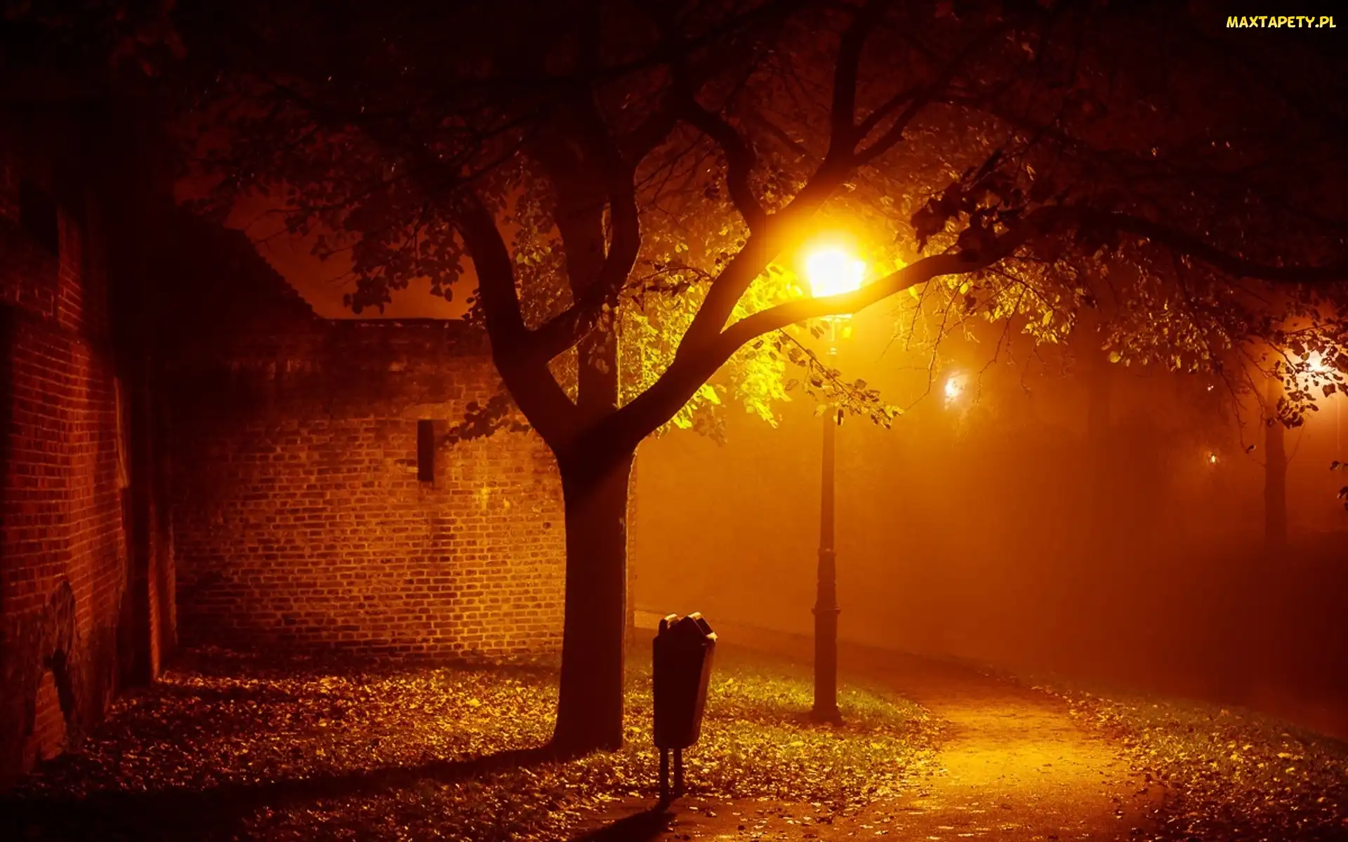 Park, Ścieżka, Latarnie, Jesień, Noc