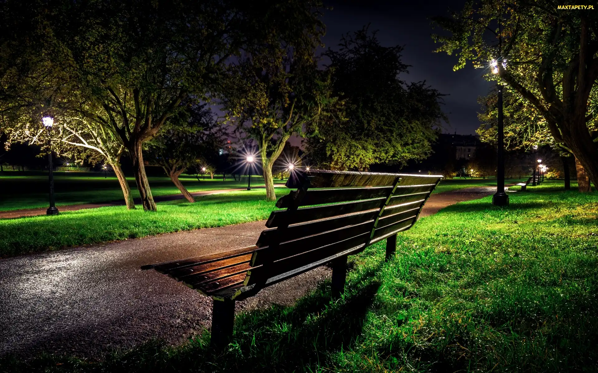 Park, Ławka, Ławeczka, Noc