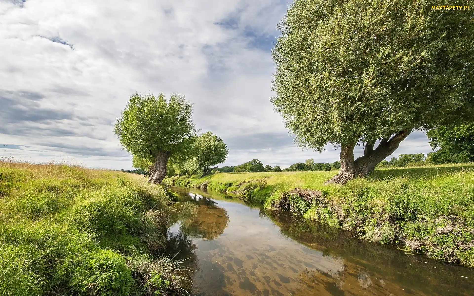 Łąki, Wierzby, Rzeka