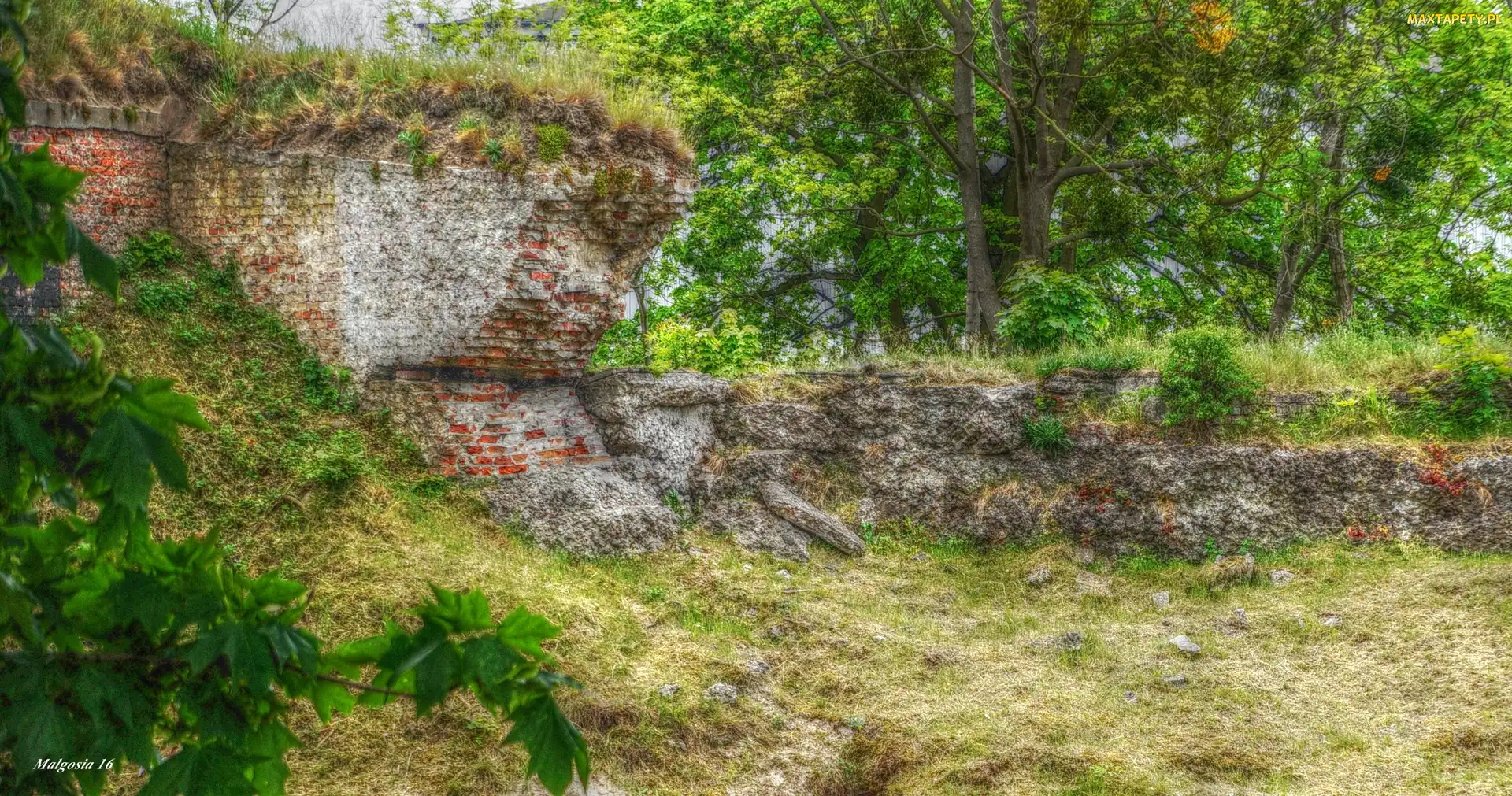 HDR, Zieleń, Mur, Stary, Cegły, Ruiny