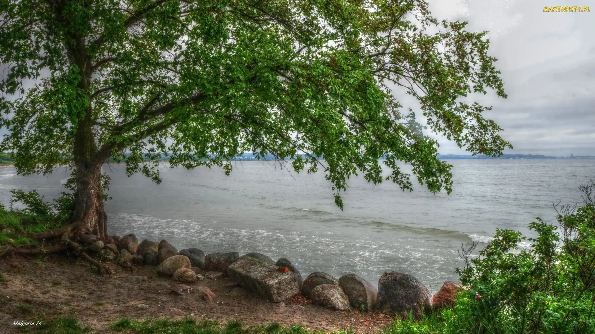 HDR, Kamienie, Drzewo, Morze
