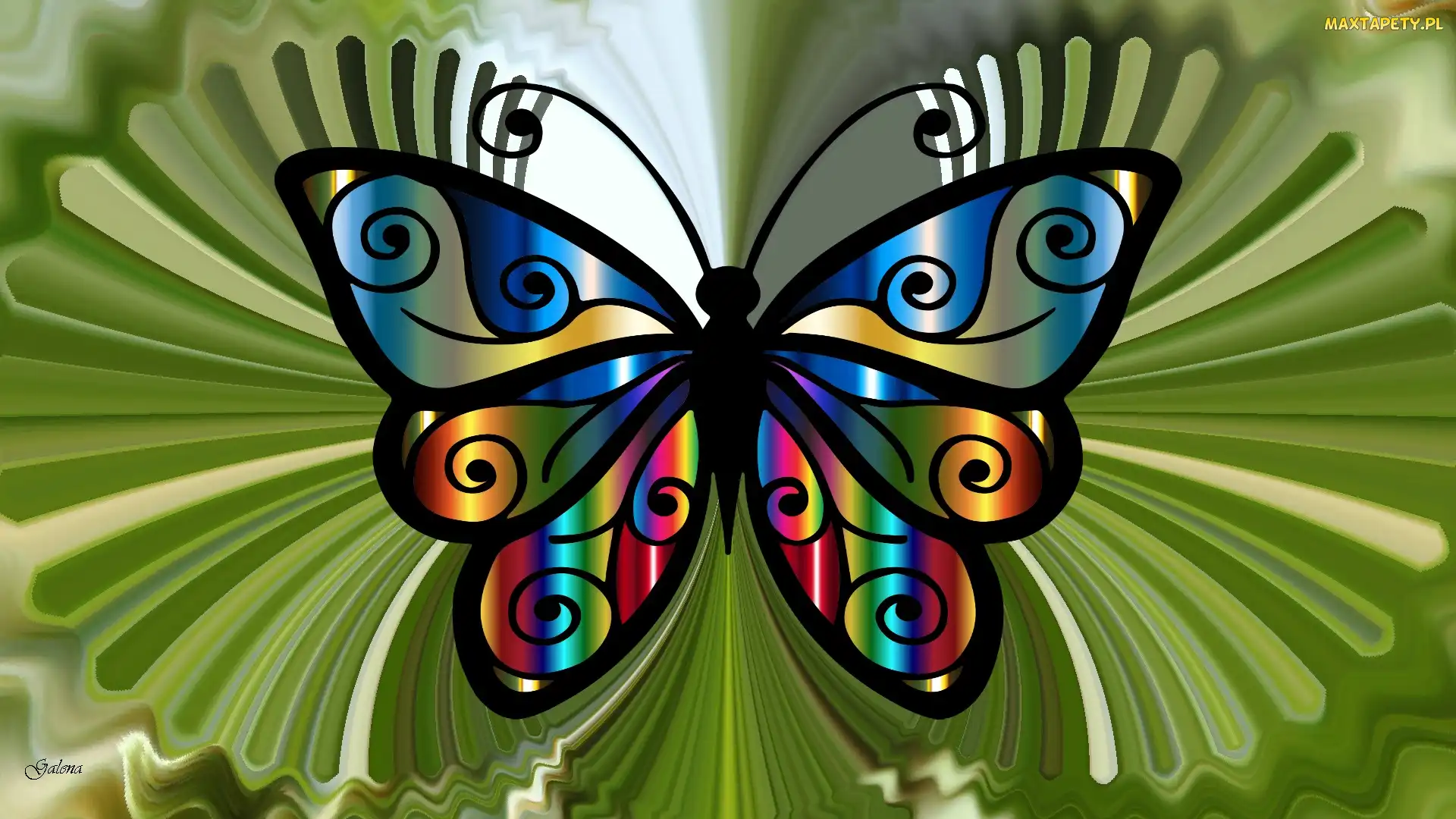 Abstrakcja, Grafika, Motyl