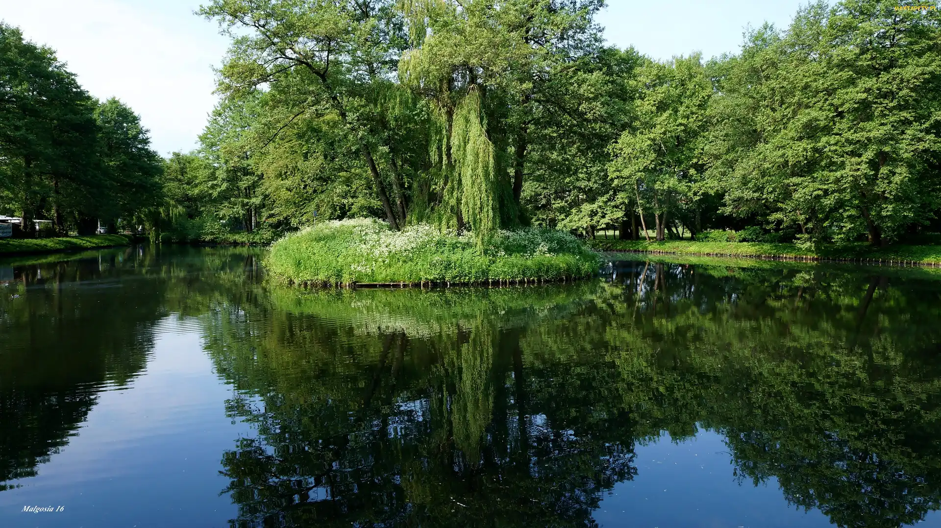 Zieleń, Drzewa, Woda, Odbicie, Wysepka, Park, Jeziorko