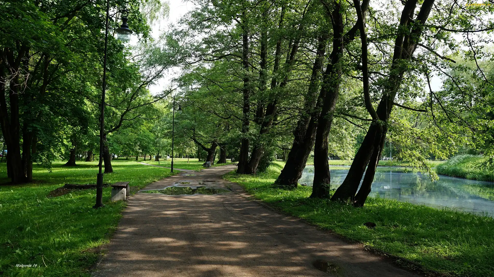 Gdańsk, Droga, Polska, Ścieżka, Trawnik, Park Jelitkowski, Jeziorko, Drzewa