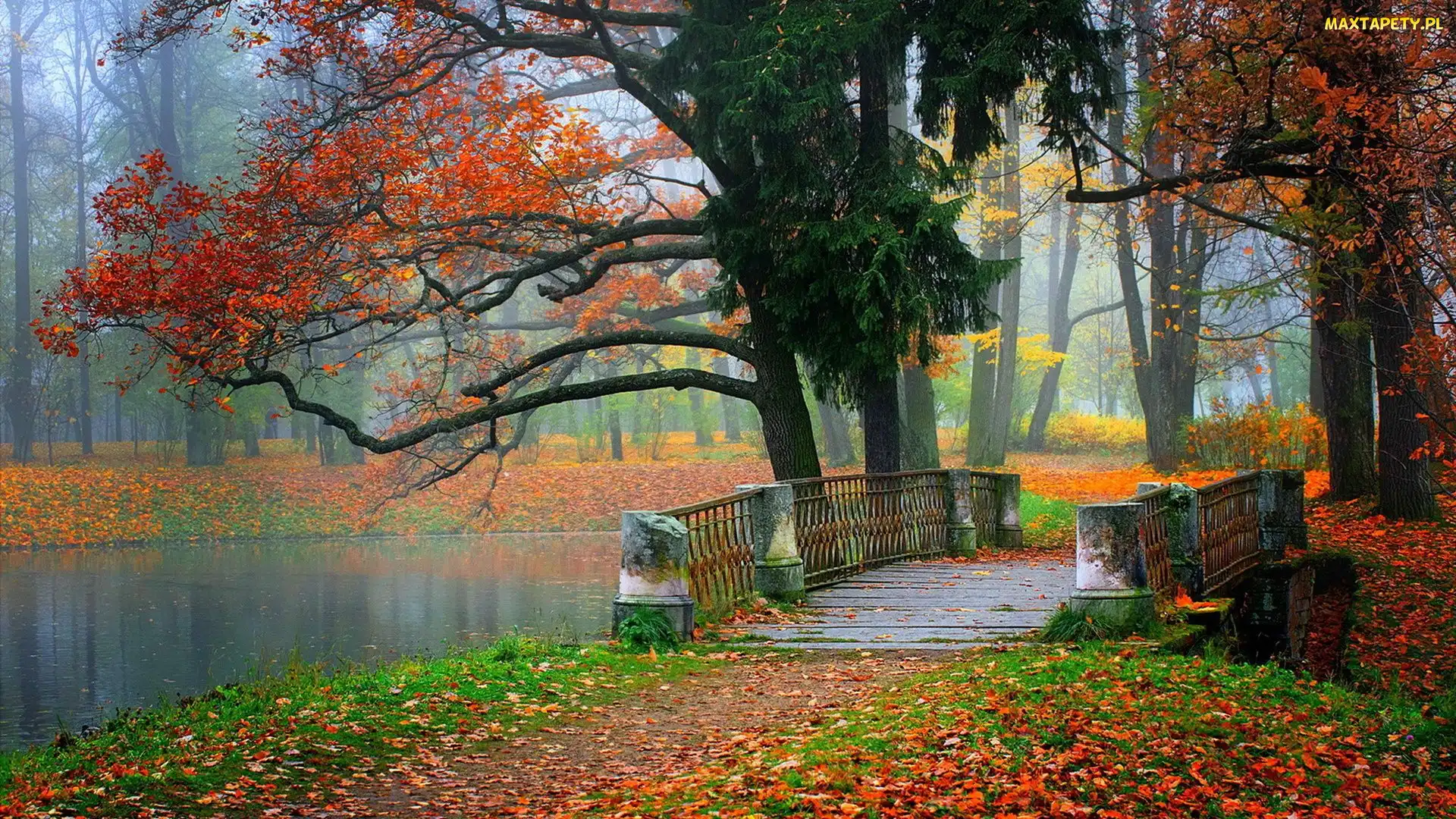 Jesień, Park, Mostek, rzeka