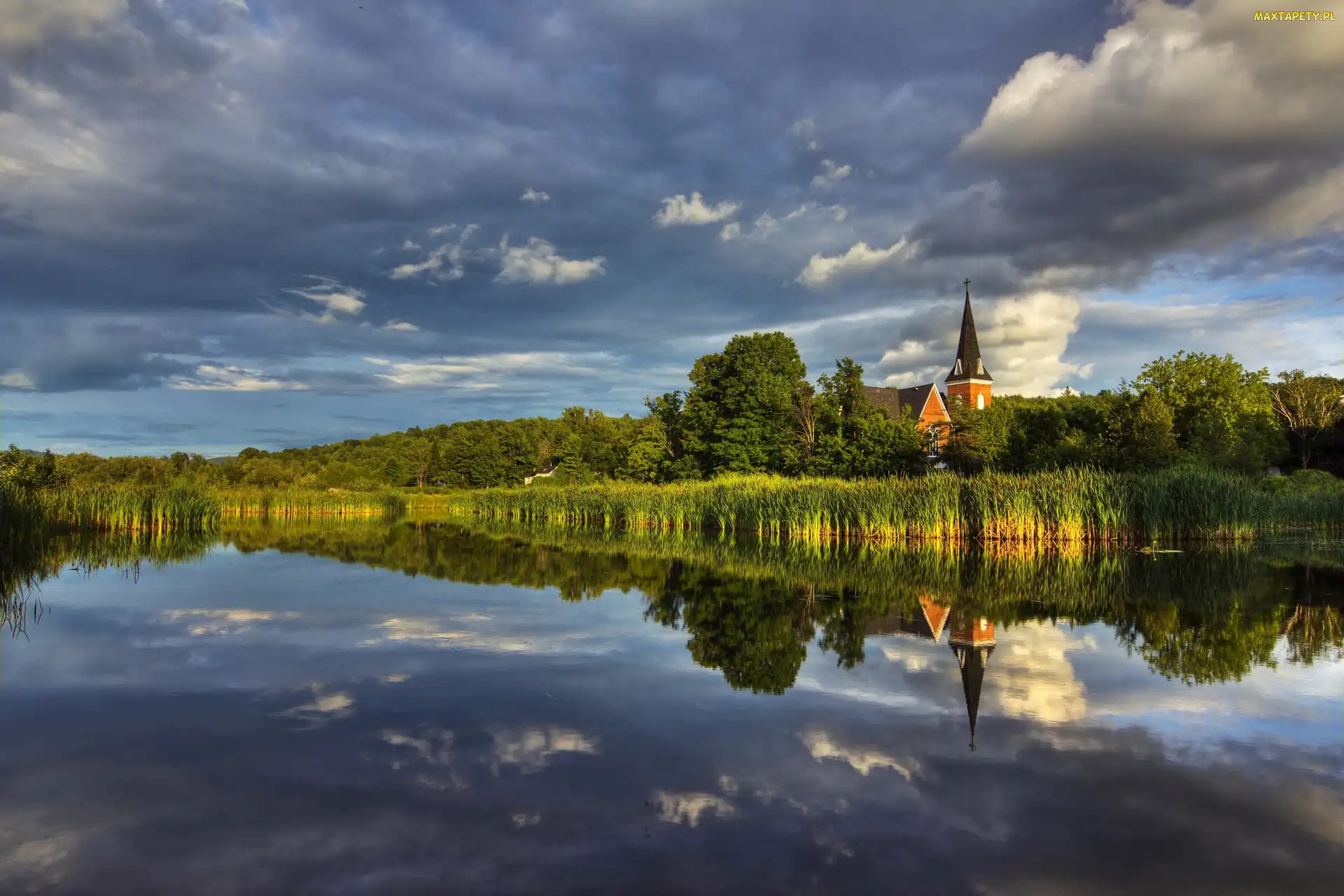 Szuwary, Odbicie, Kościół, Drzewa, Jezioro